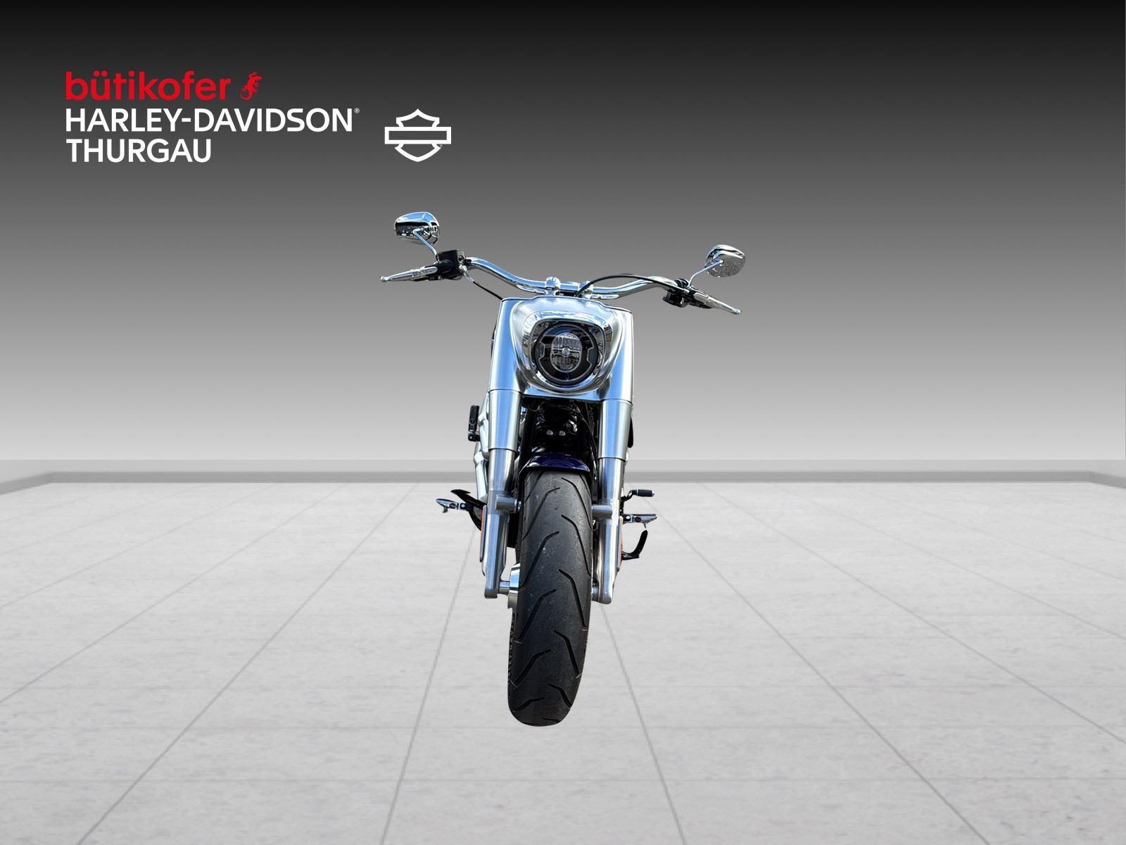 HARLEY-DAVIDSON FLFBS Fat Boy 114 ABS - 7