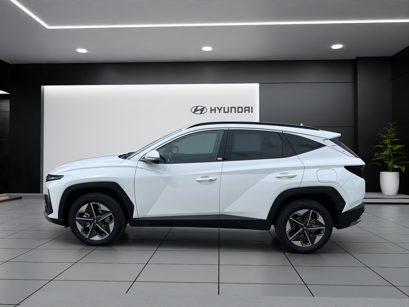 HYUNDAI Tucson 1.6 TGDI HEV Amplia 4WD - 2
