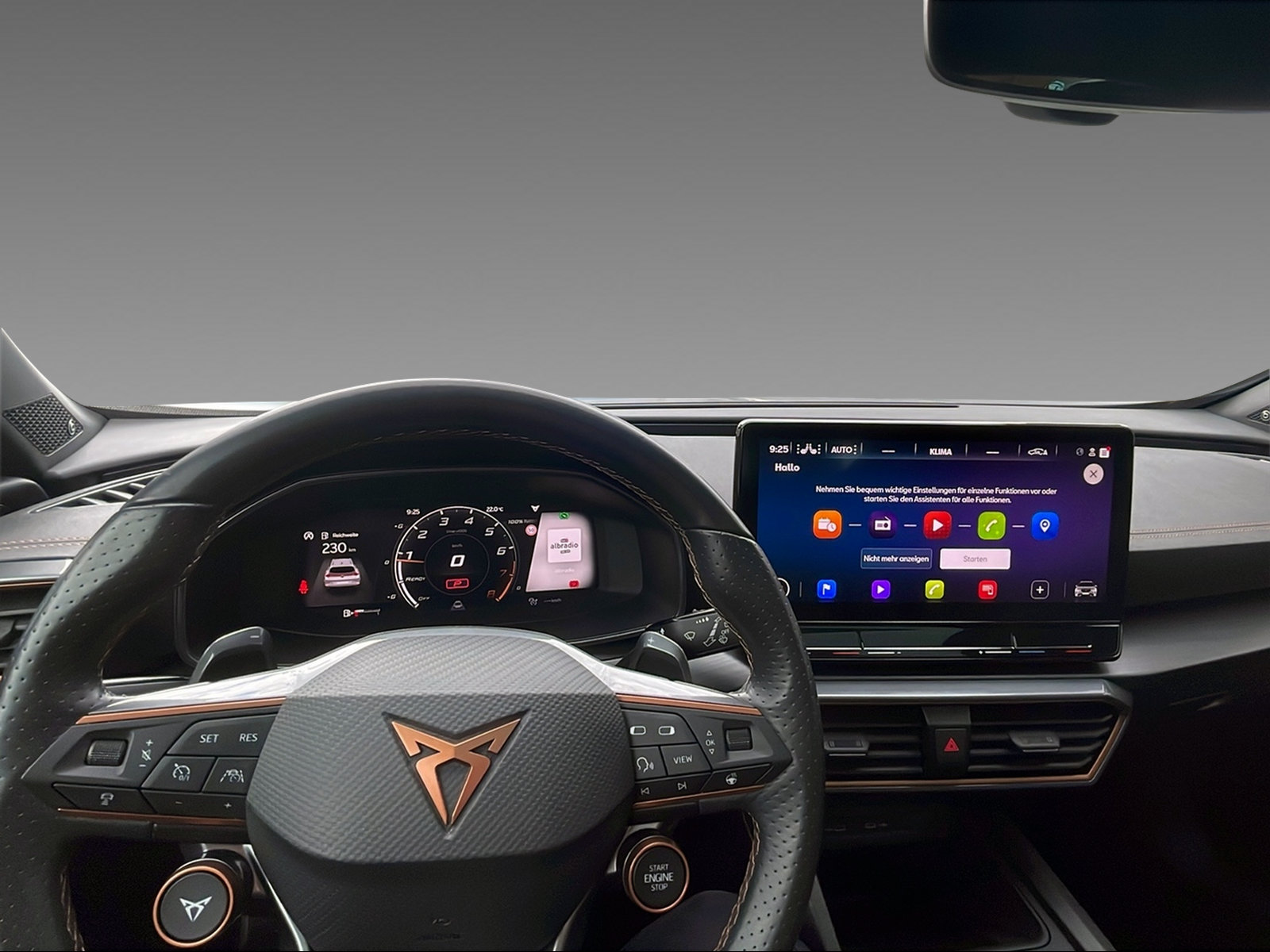 CUPRA Formentor 2.0 TSI VZ 4Drive DSG - 8