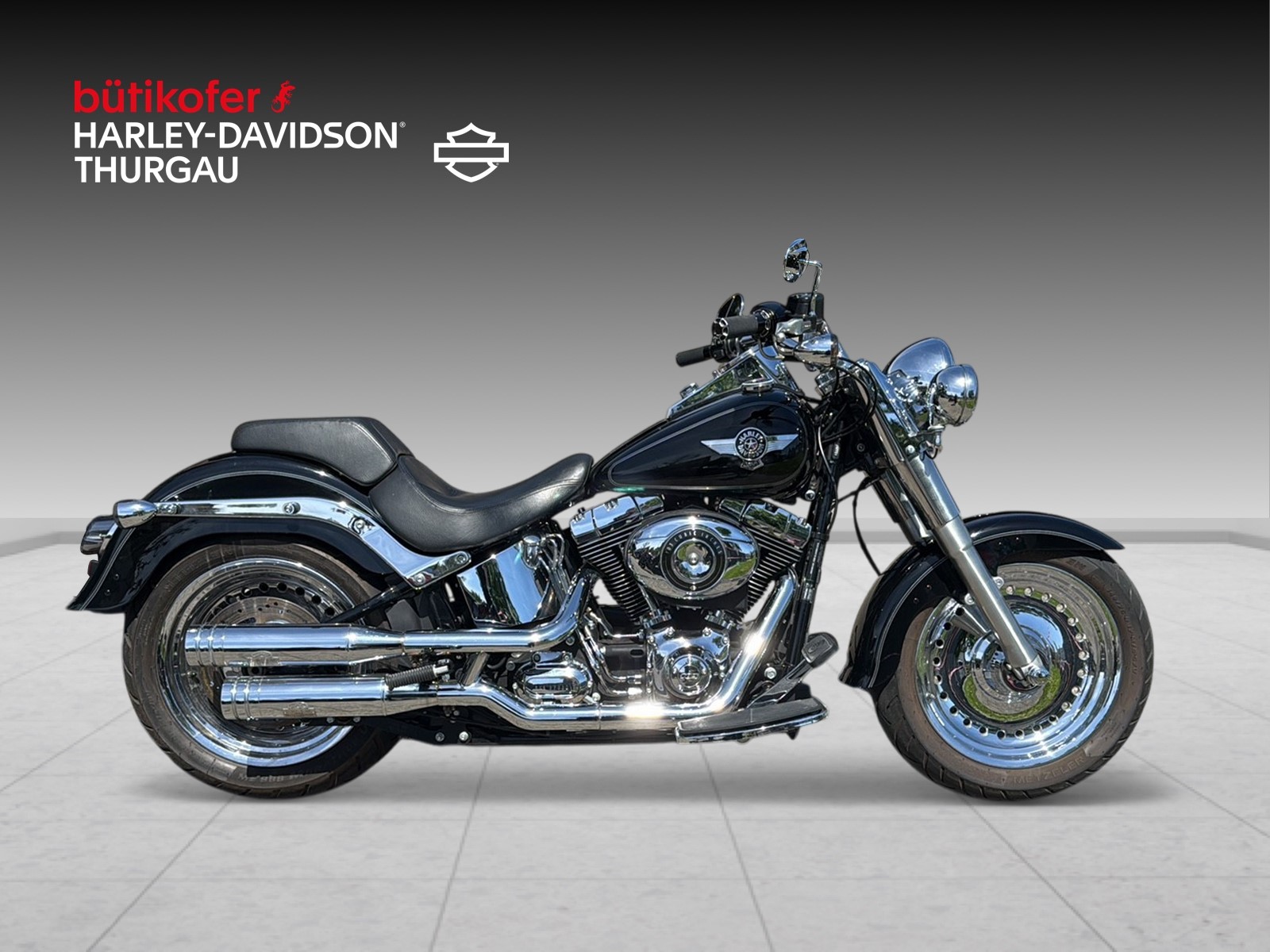 HARLEY-DAVIDSON FLSTF Fat Boy ABS - 2