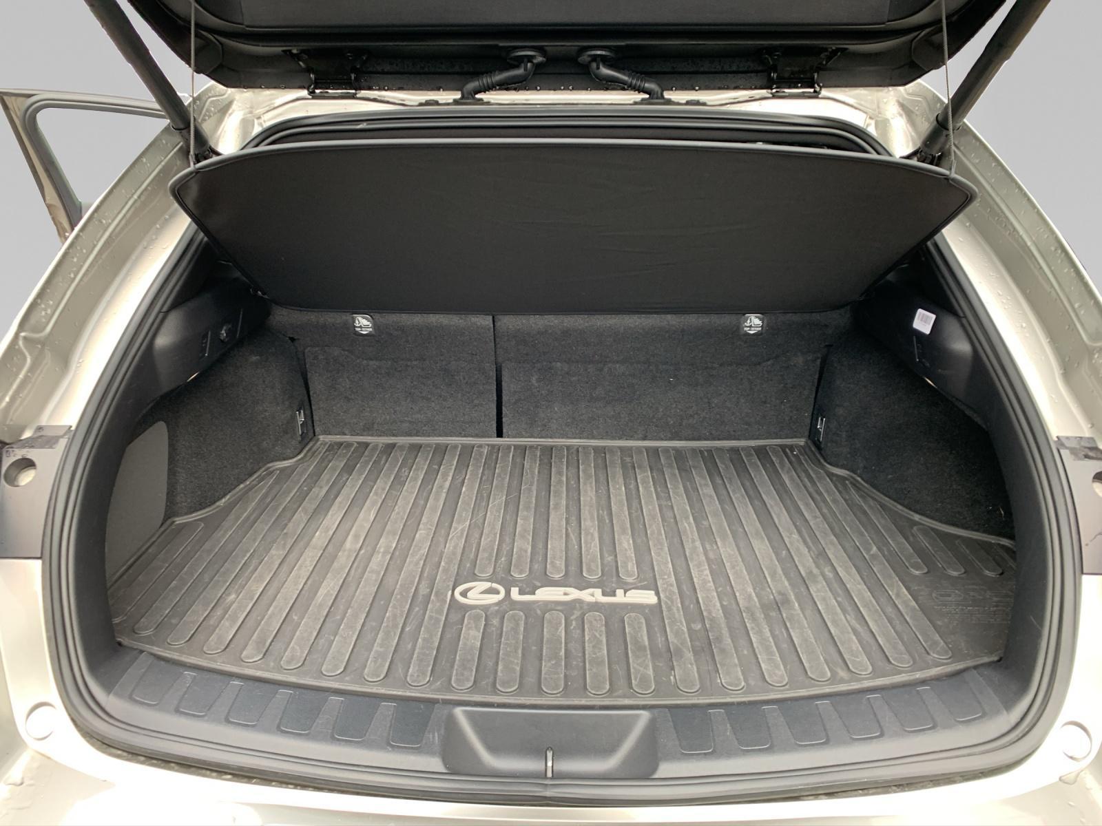 LEXUS UX 250h F-Line - 13
