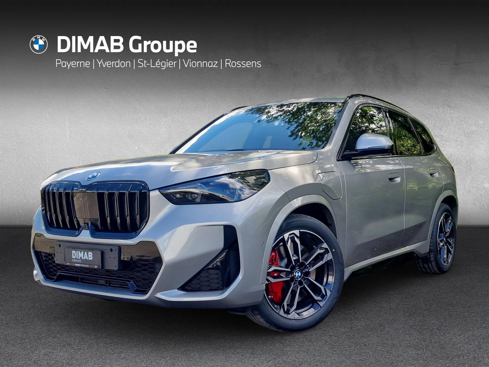 BMW X1 xDrive 30e M Sport Pro