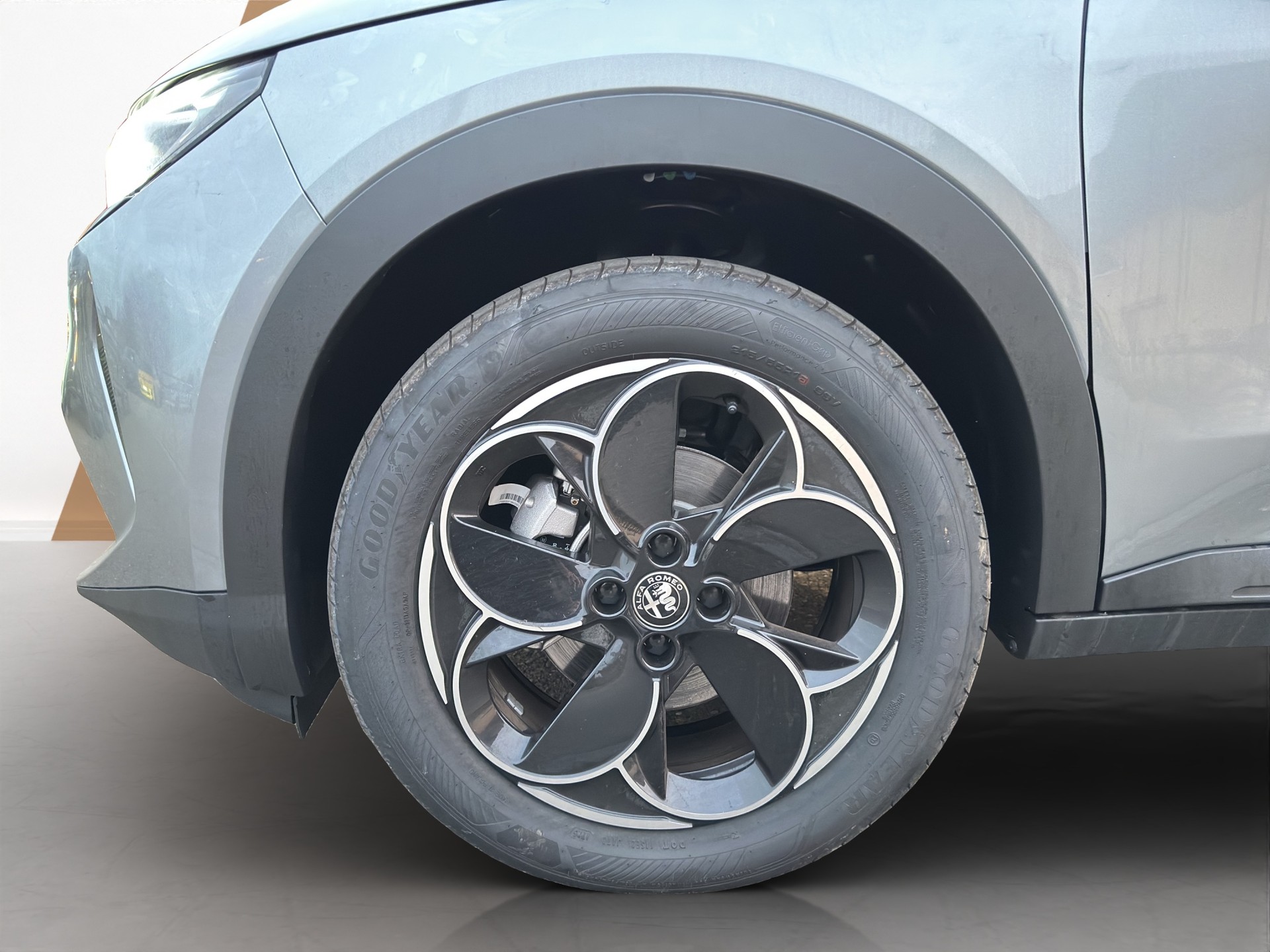 ALFA ROMEO Junior Elettrica - 19