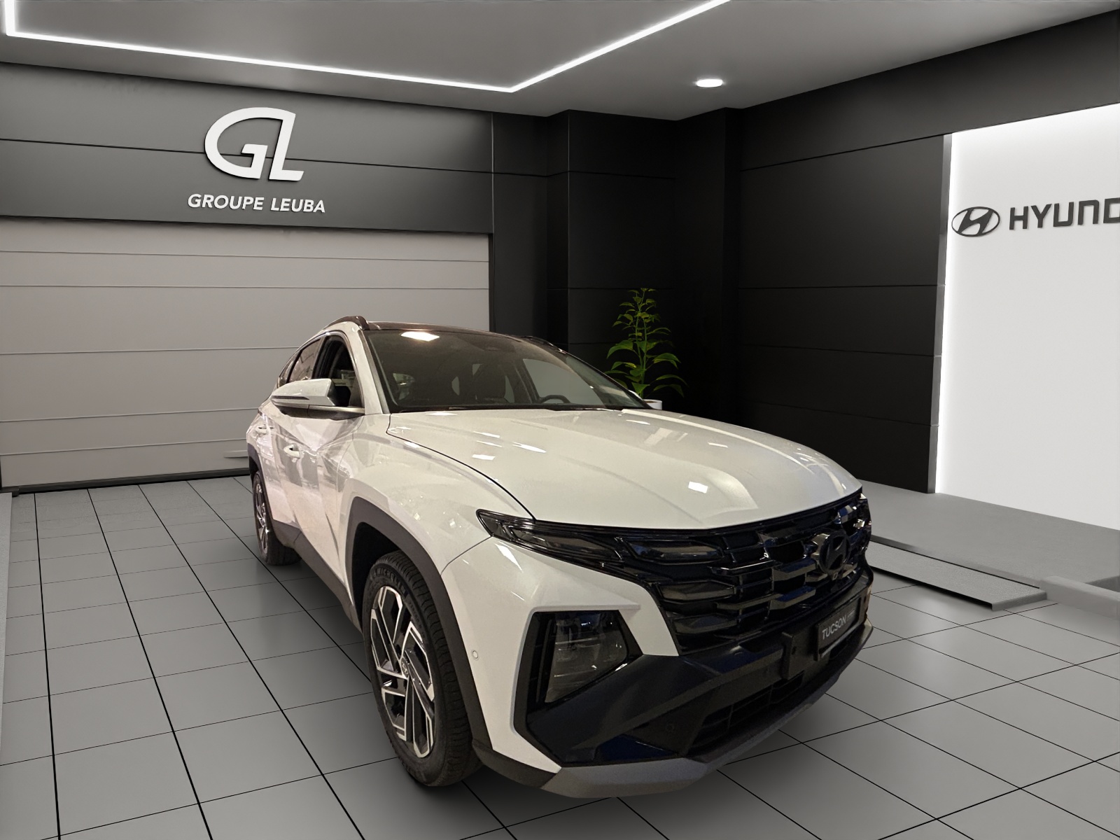 HYUNDAI Tucson 1.6 TGDI HEV Swiss Edition 4WD - 9