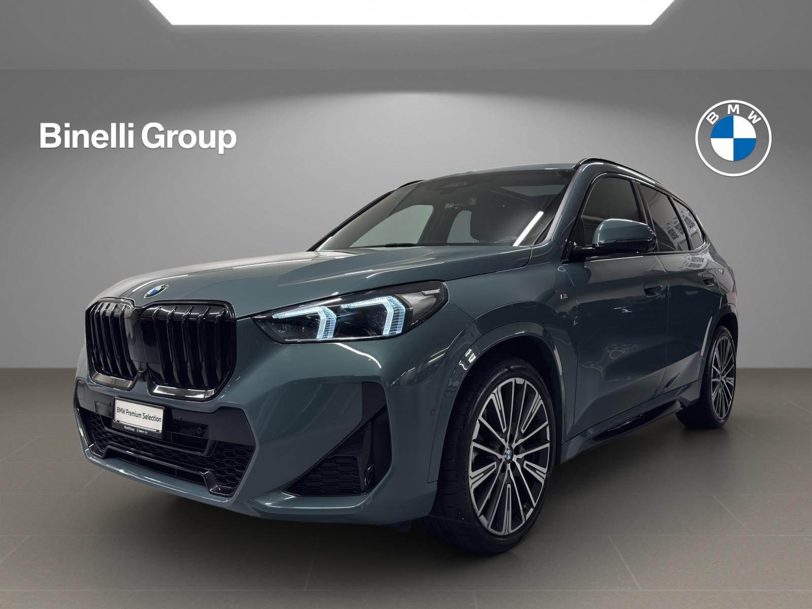 X1 23i xDrive paddles
