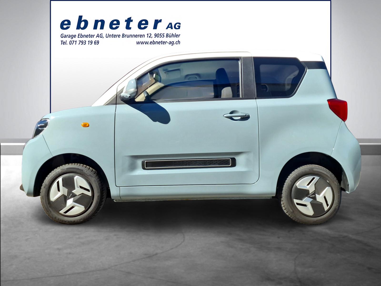 BAW Pony Electric - 3