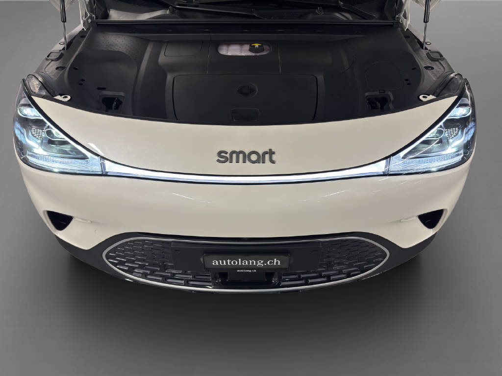 SMART #1 Premium 66 kWh, 22kW - 9