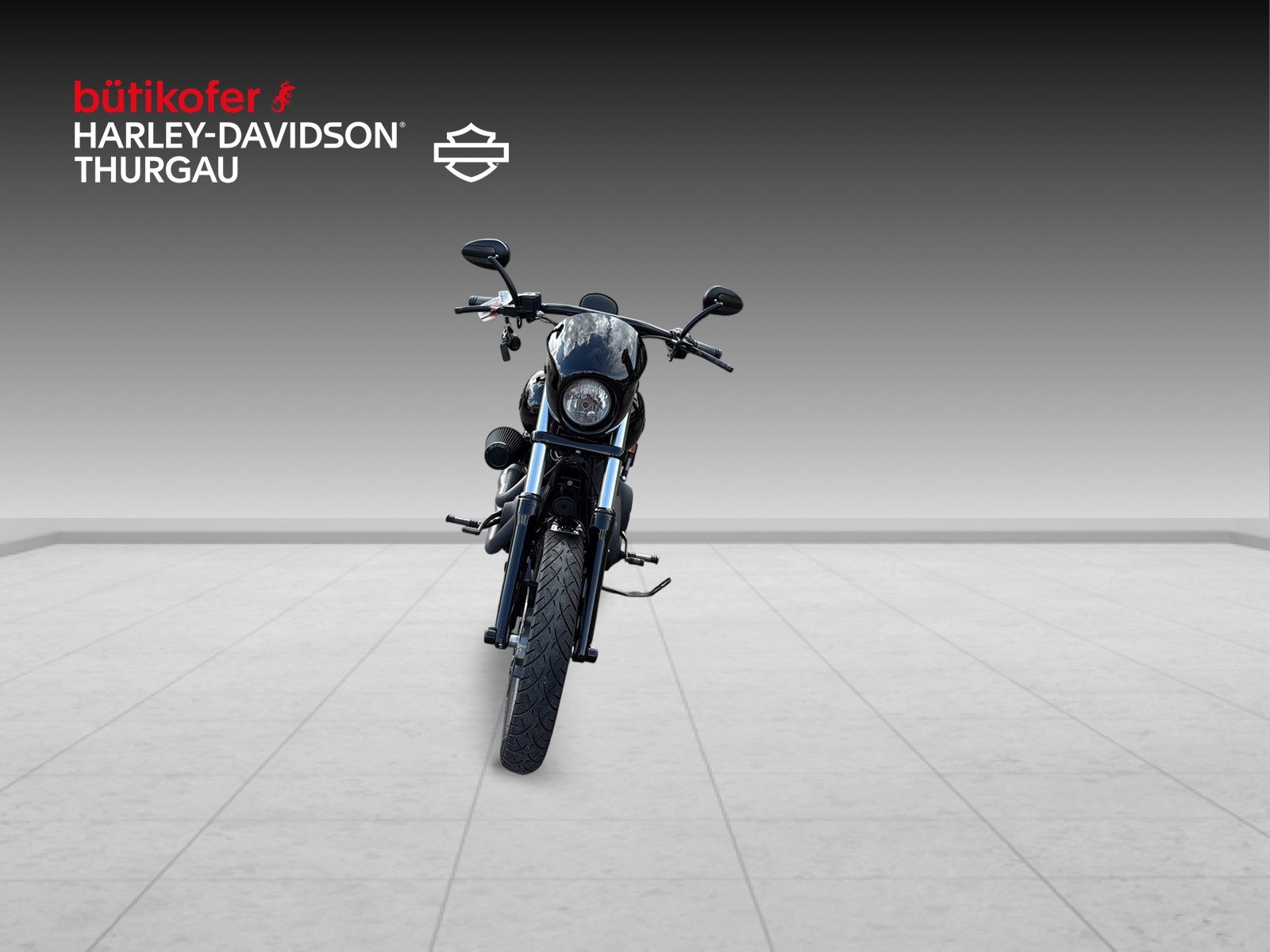 HARLEY-DAVIDSON FXDLS Dyna Low Rider S - 7
