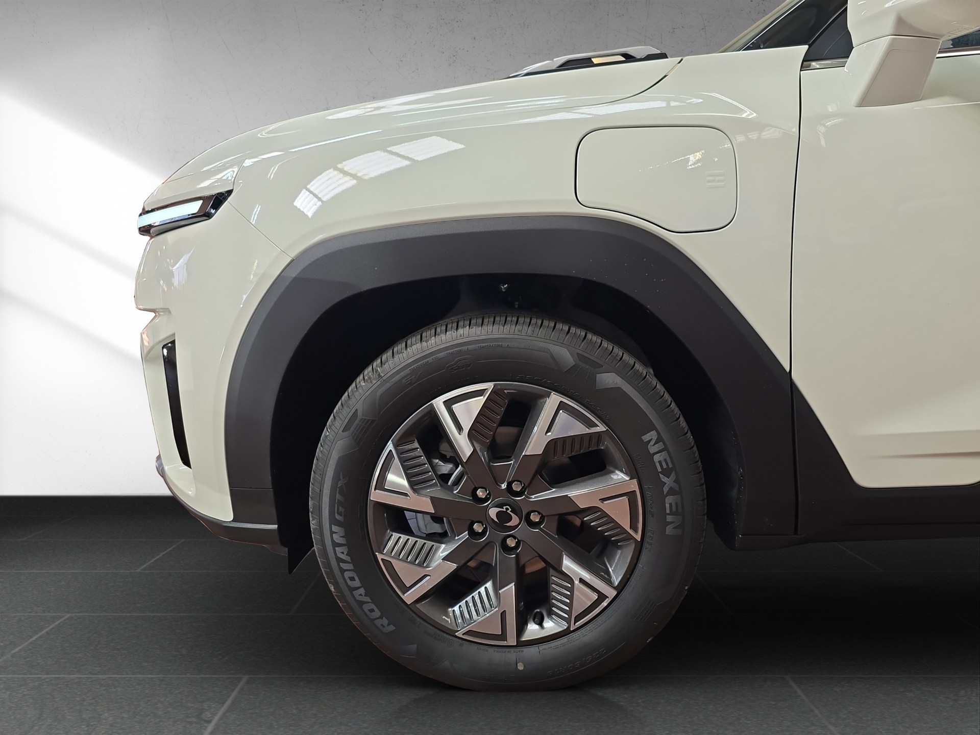 KGM-SsangYong Torres EVX 73 kWh Bronze - 19