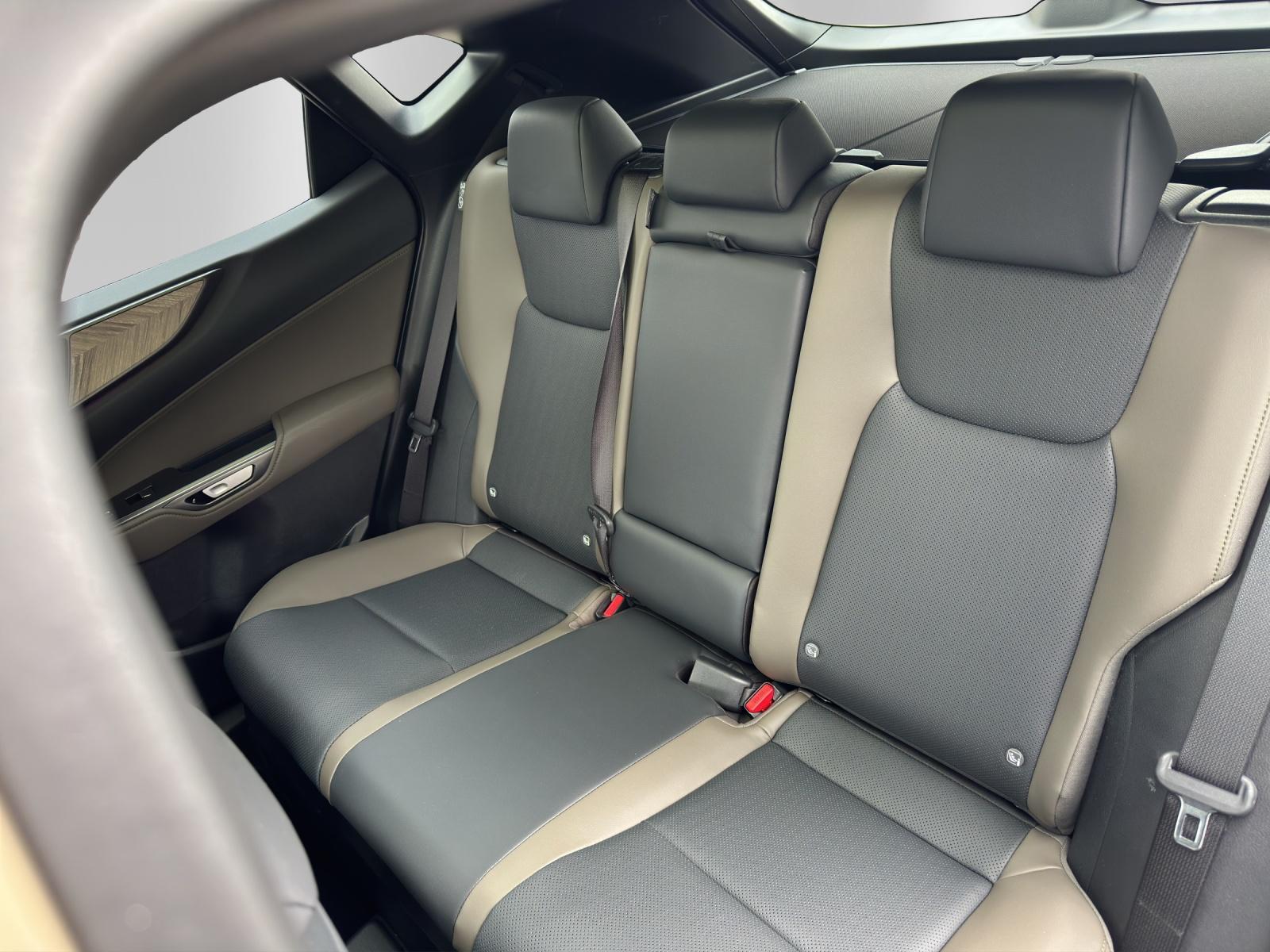 LEXUS NX 450h+ Overtrail - 11