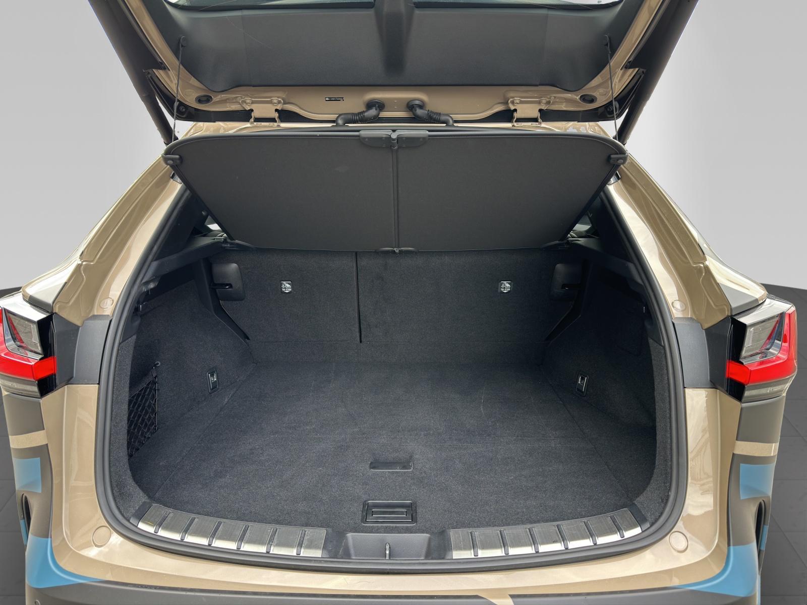 LEXUS NX 450h+ Overtrail - 13