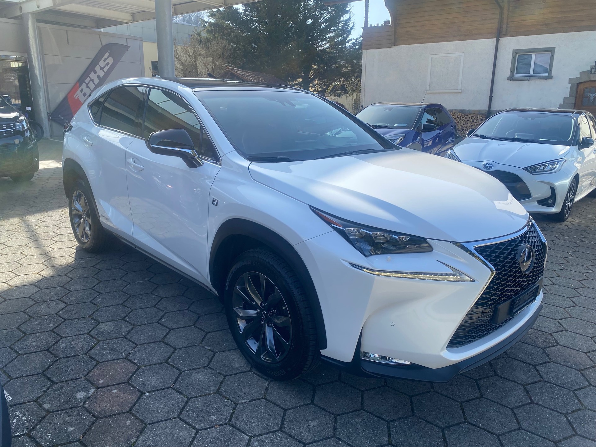 LEXUS NX 300h F-Sport E-Four Automatic - 2