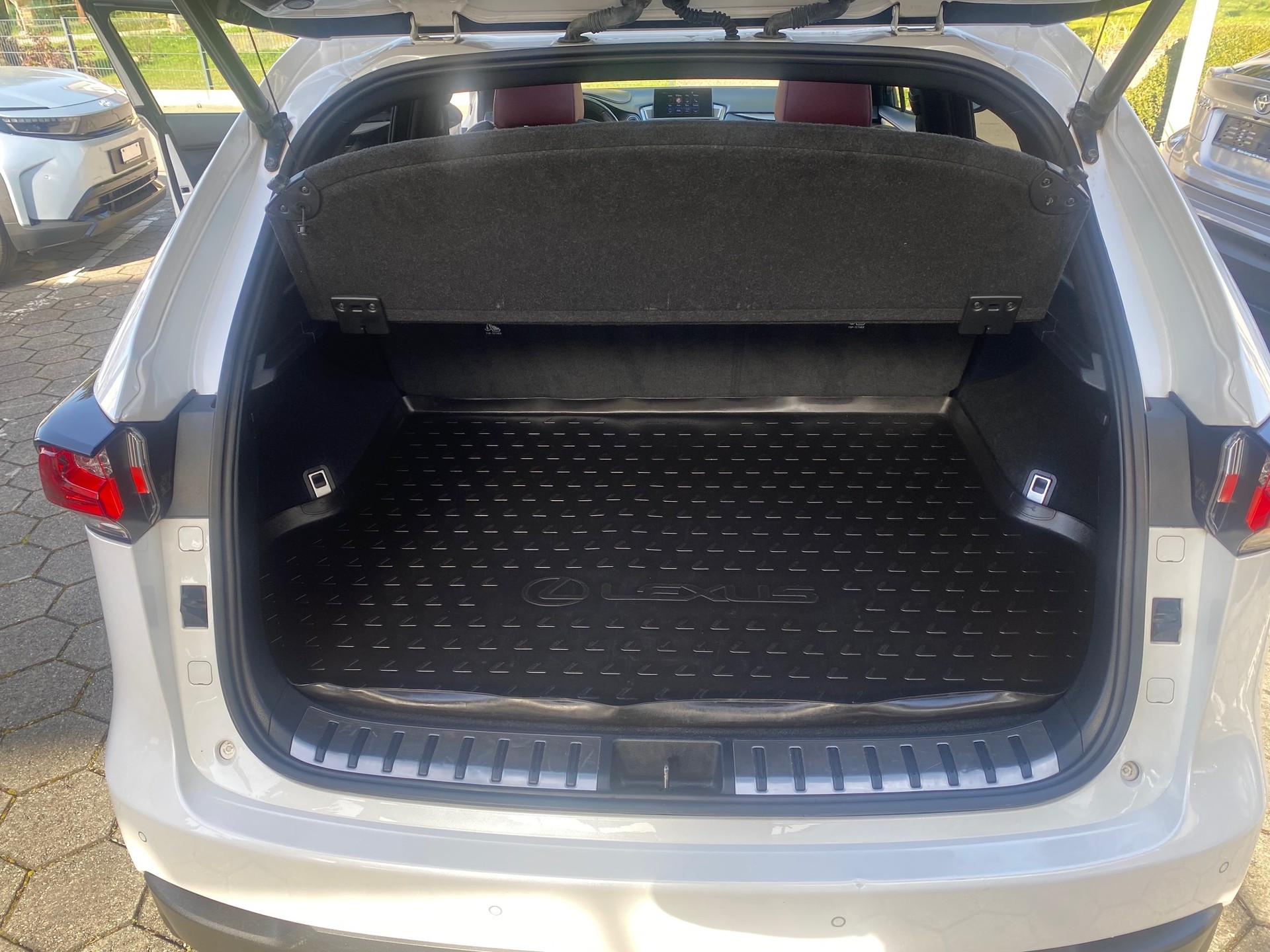 LEXUS NX 300h F-Sport E-Four Automatic - 9