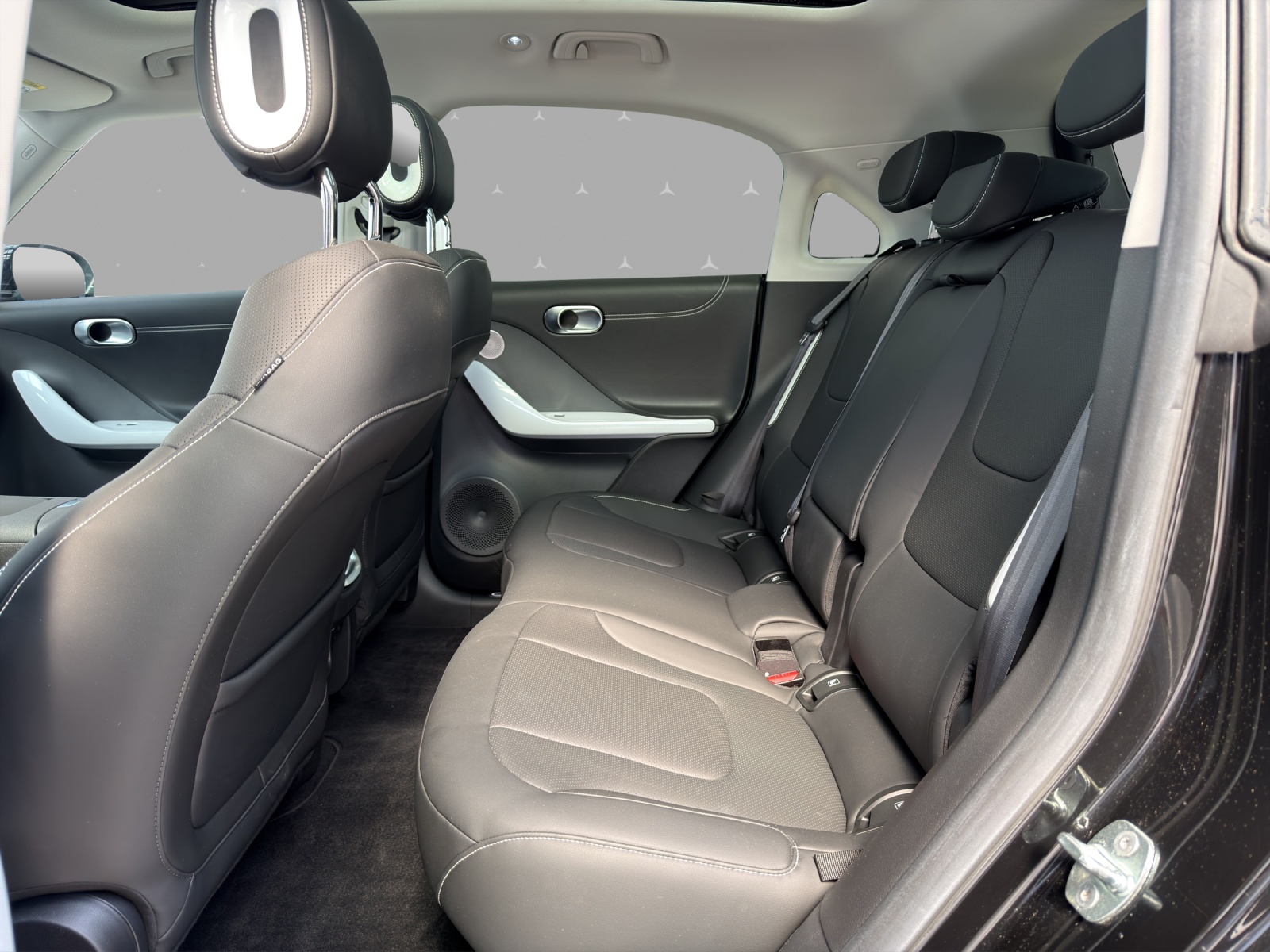 SMART #1 66 kWh Pulse AWD - 13