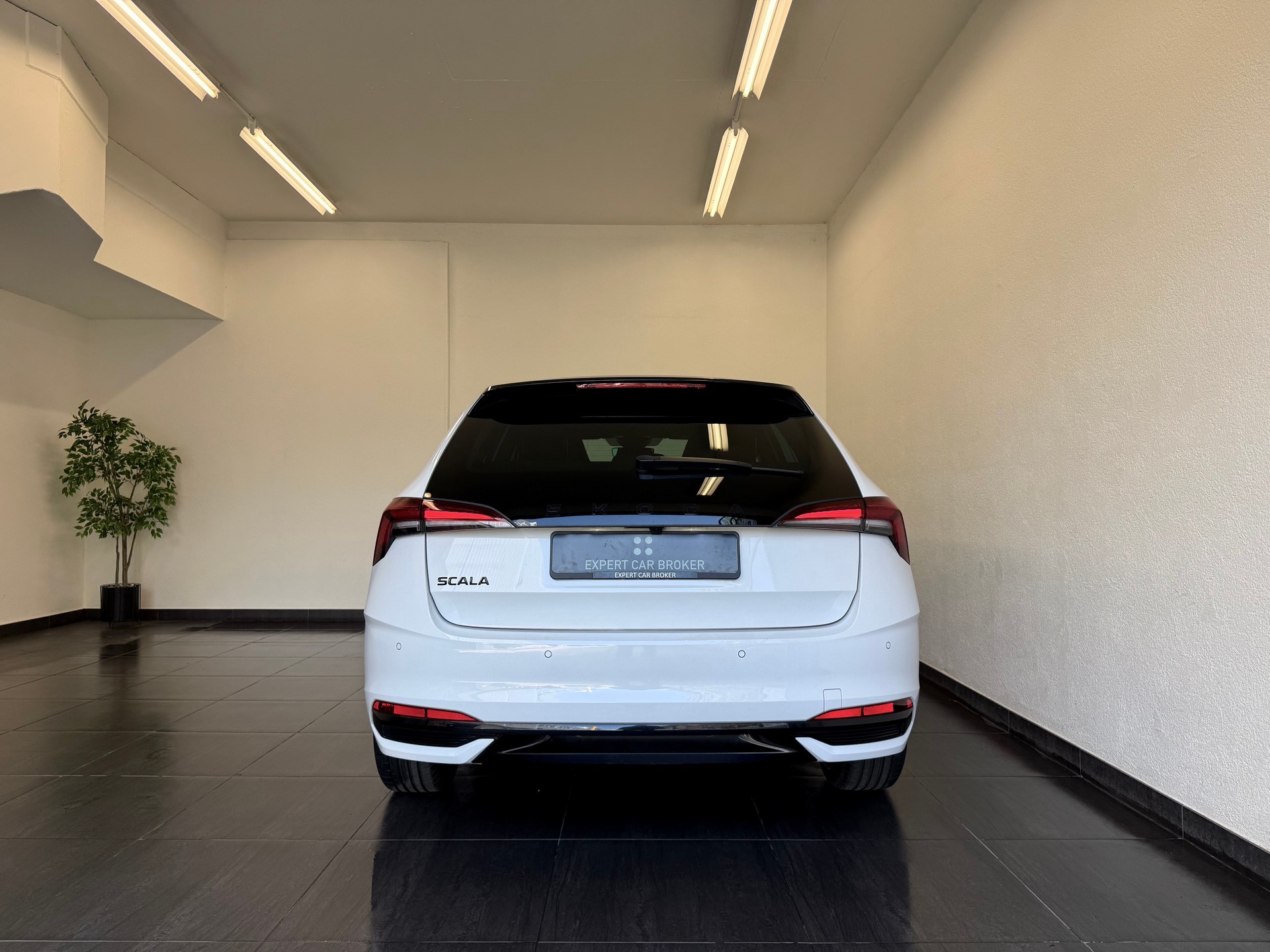 SKODA Scala 1.0 TSI Monte Carlo DSG - 12