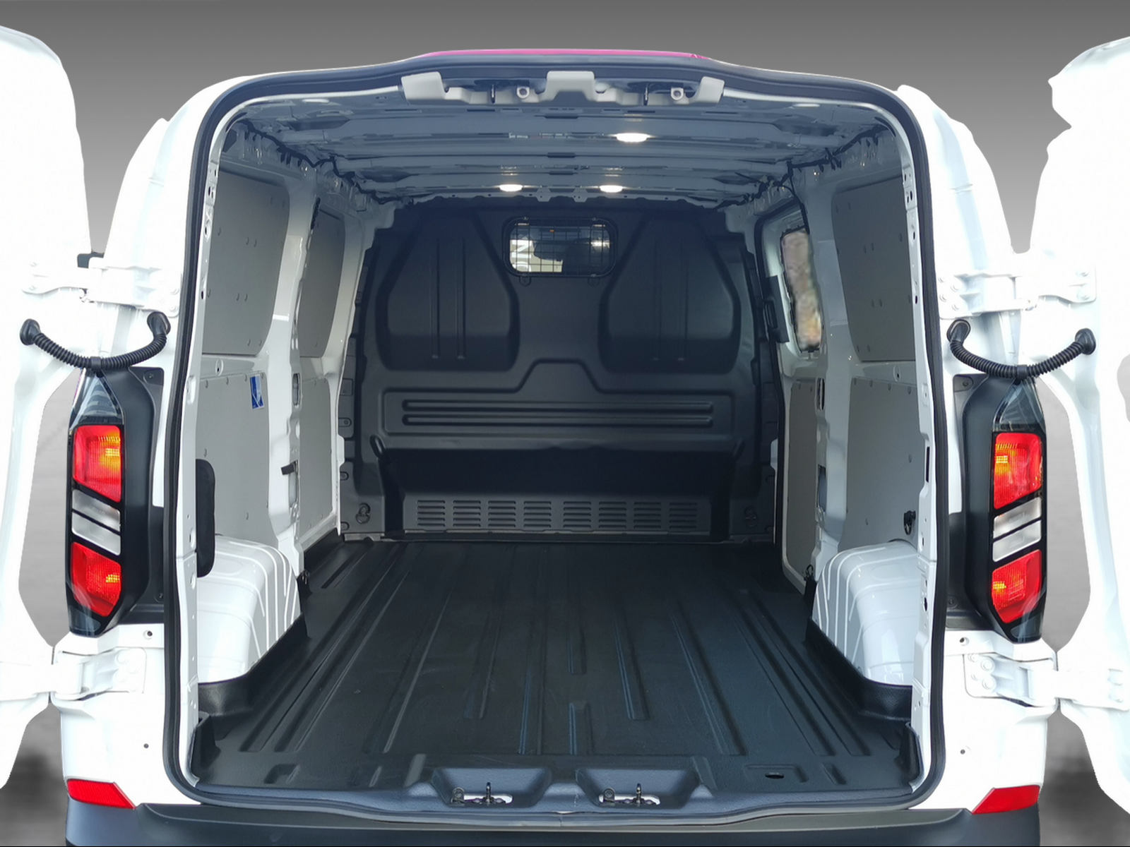 FORD Transit C Van 320 L2 2.5 Duratec 233 Trend PHEV - 13