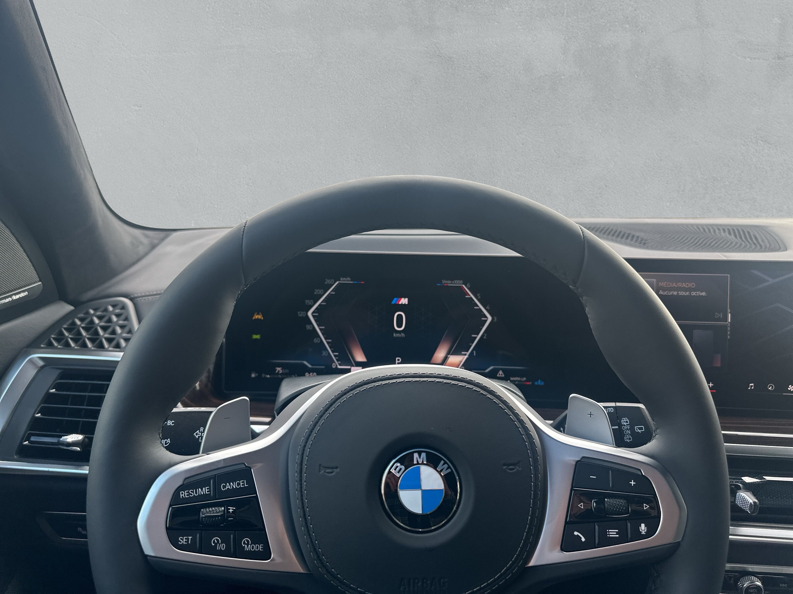 BMW X7 xDrive 48V 40d M Sport Pro Steptronic - 18