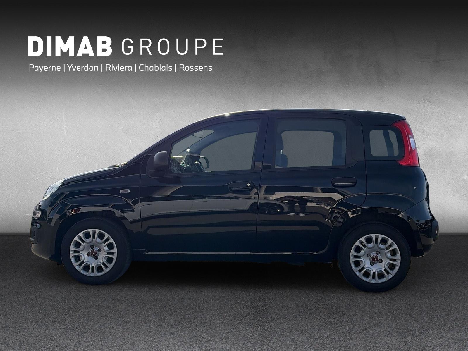 FIAT Panda 1.0 Hybrid Cool - 2