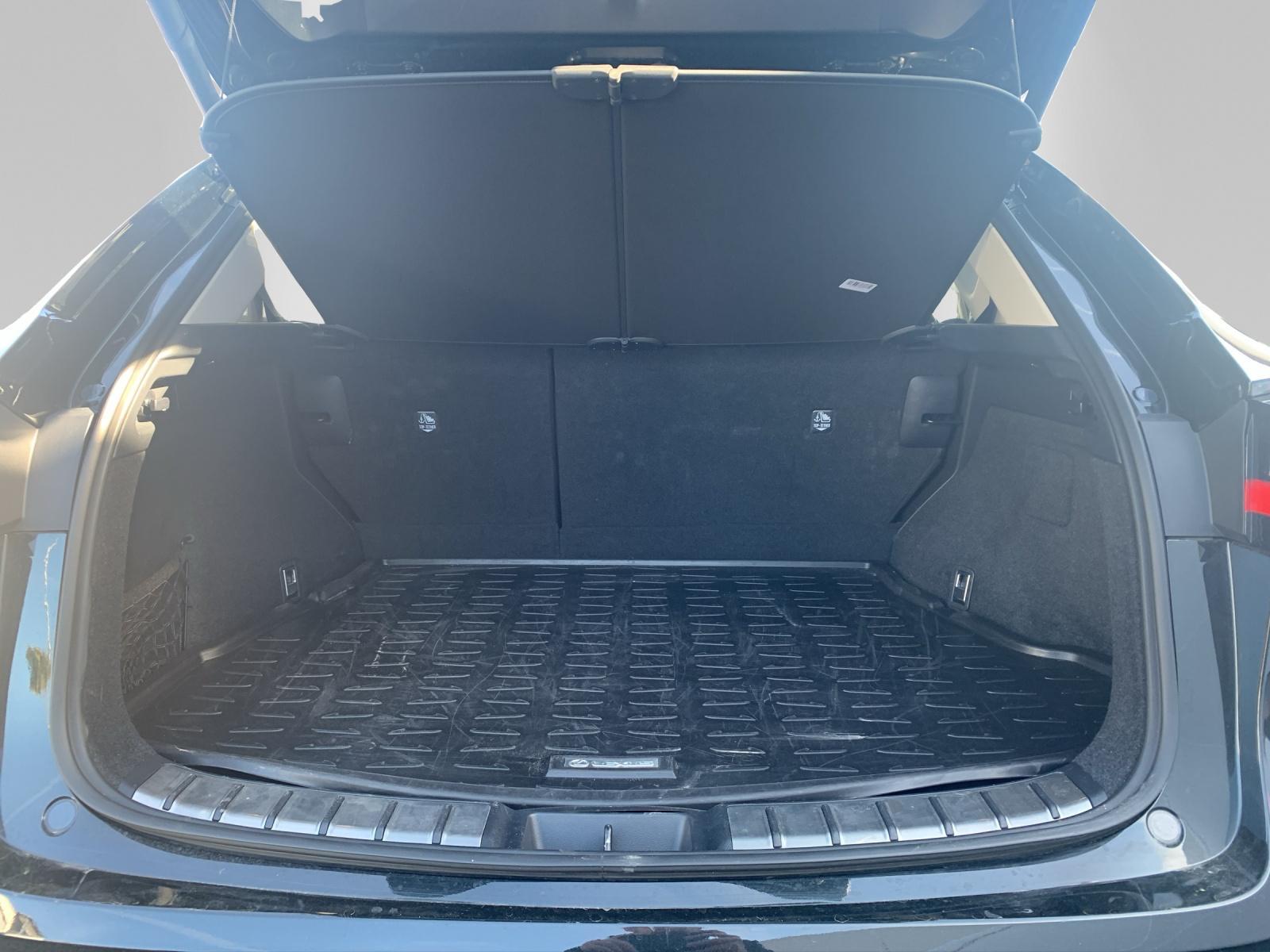 LEXUS NX 450h+ Excellence - 13