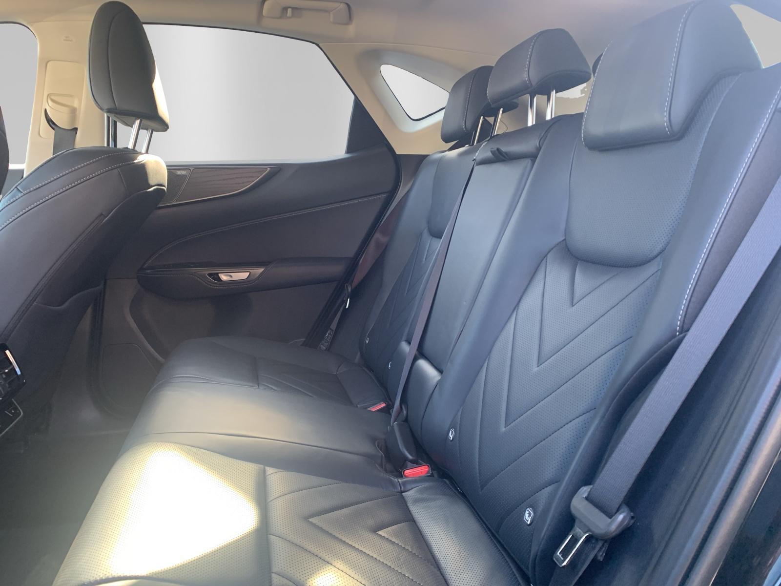 LEXUS NX 450h+ Excellence - 12