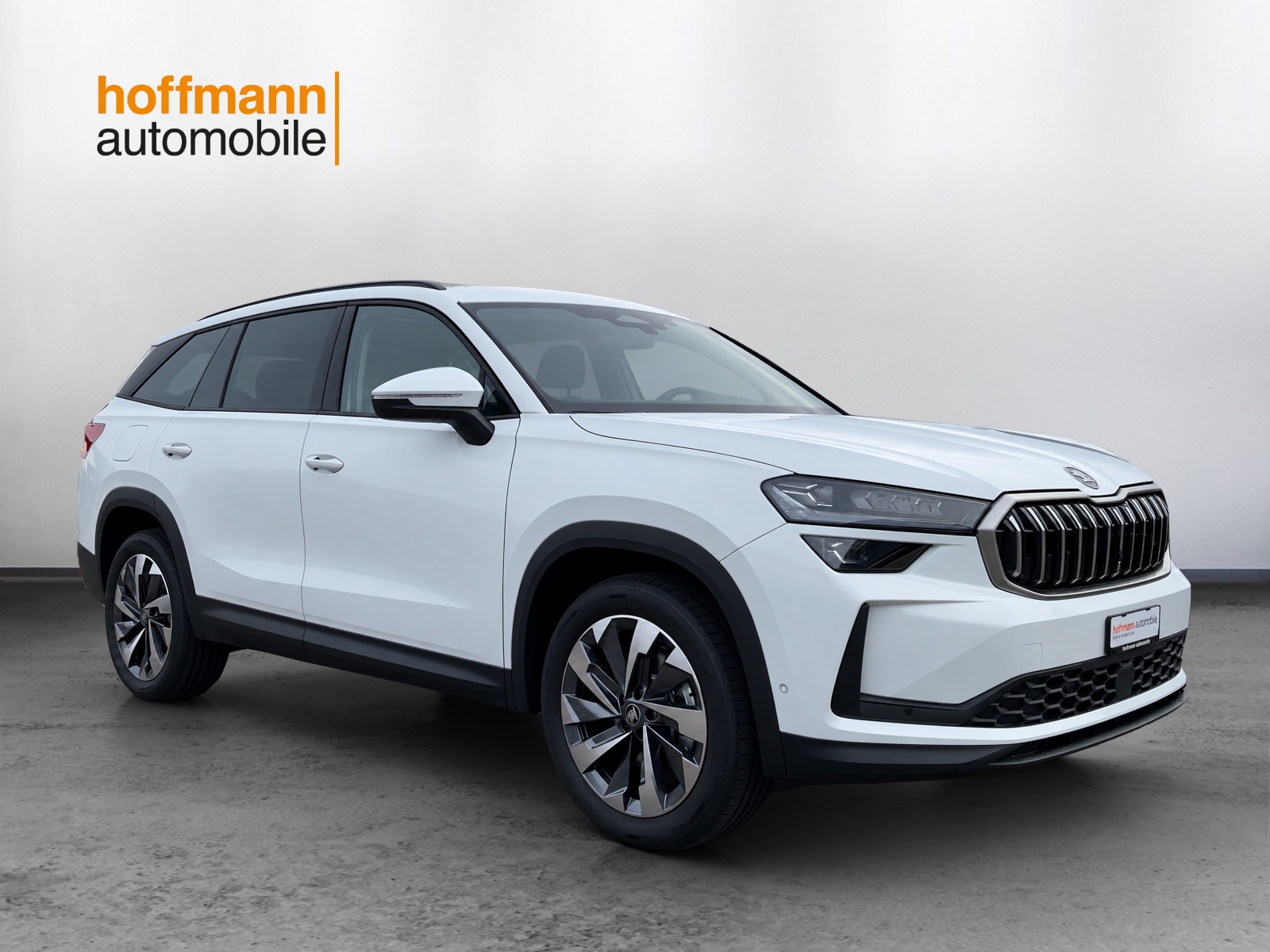 SKODA Kodiaq 2.0 TSI Dynamic 4x4 - 3