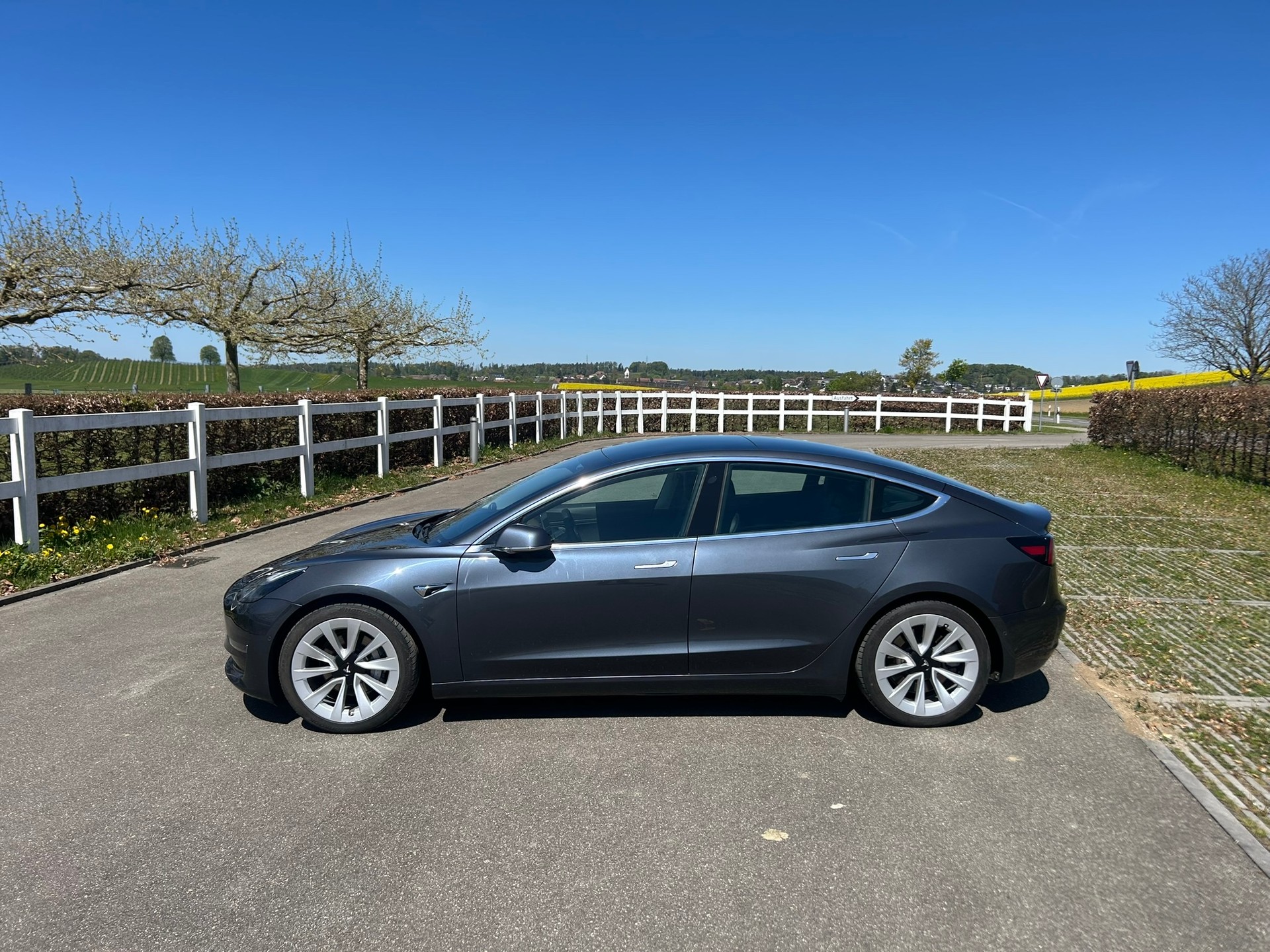 TESLA Model 3 Long Range Dual Motor AWD - 3