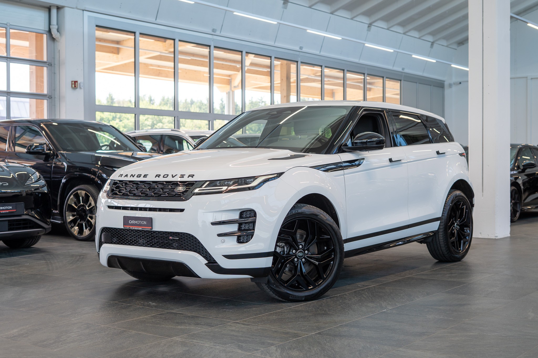 Range Rover Evoque 2.0 D 165 R-Dynamic SE / Meridian Sound / Rückfahrkamera