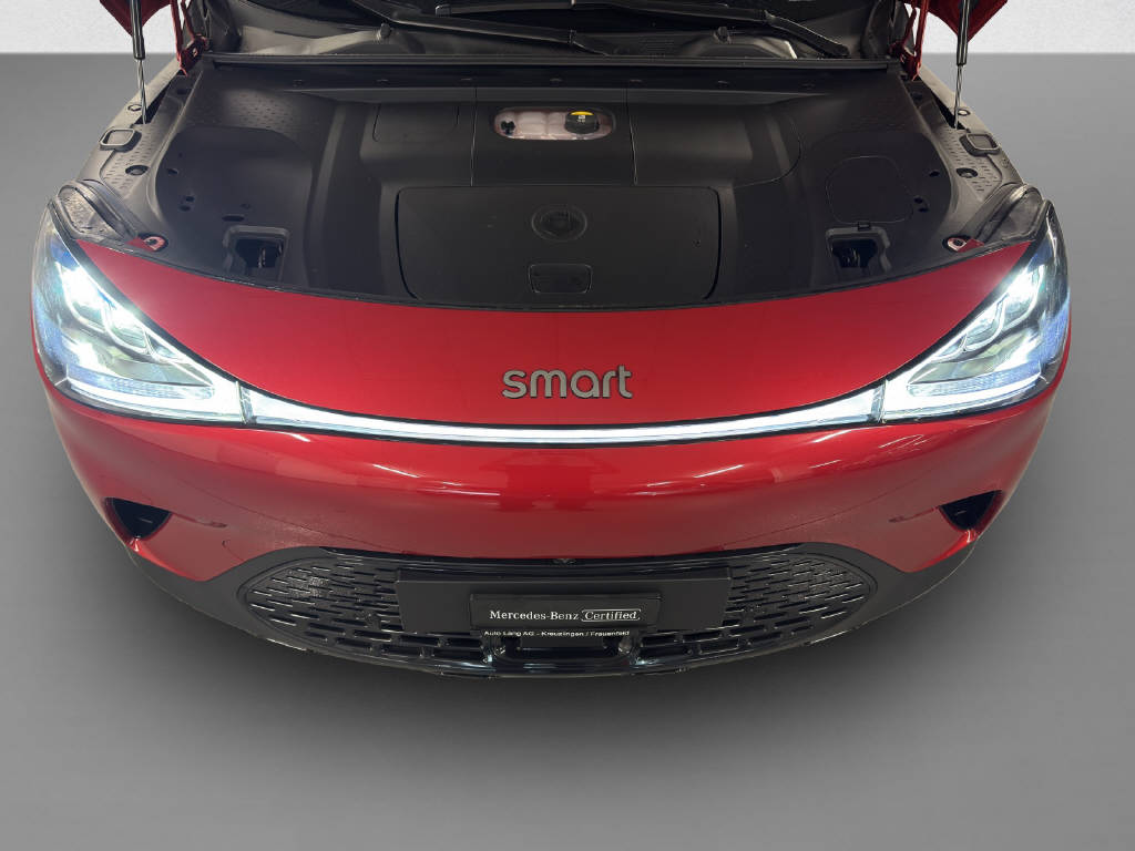 SMART #1 Pro+ 66 kWh, 22kW - 9