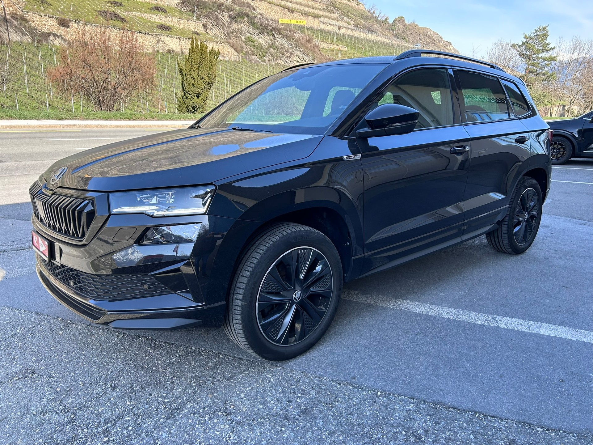 SKODA Karoq 2.0 TSI SportLine 4x4 DSG