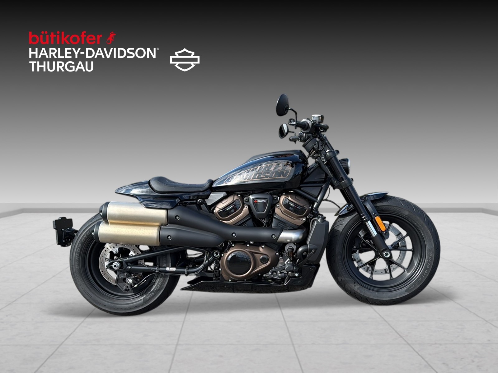 HARLEY-DAVIDSON RH 1250 Sportster S - 2