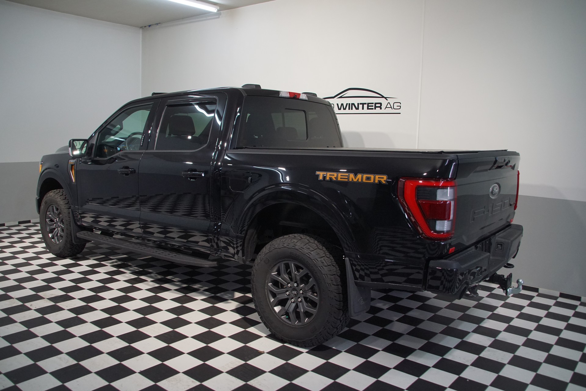 FORD F150 3.5L V6 TREMOR Super Crew - 8