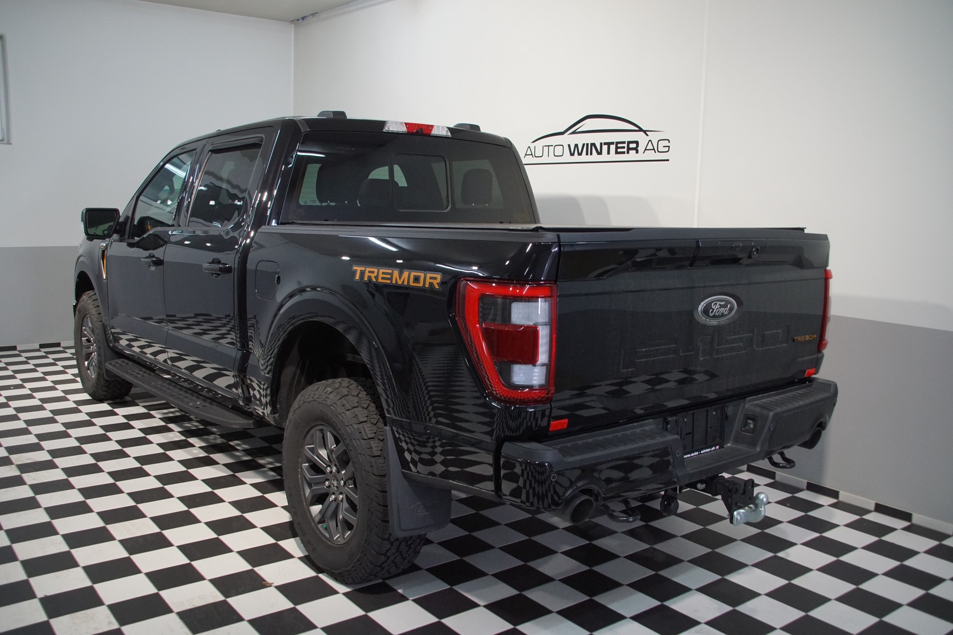FORD F150 3.5L V6 TREMOR Super Crew - 10