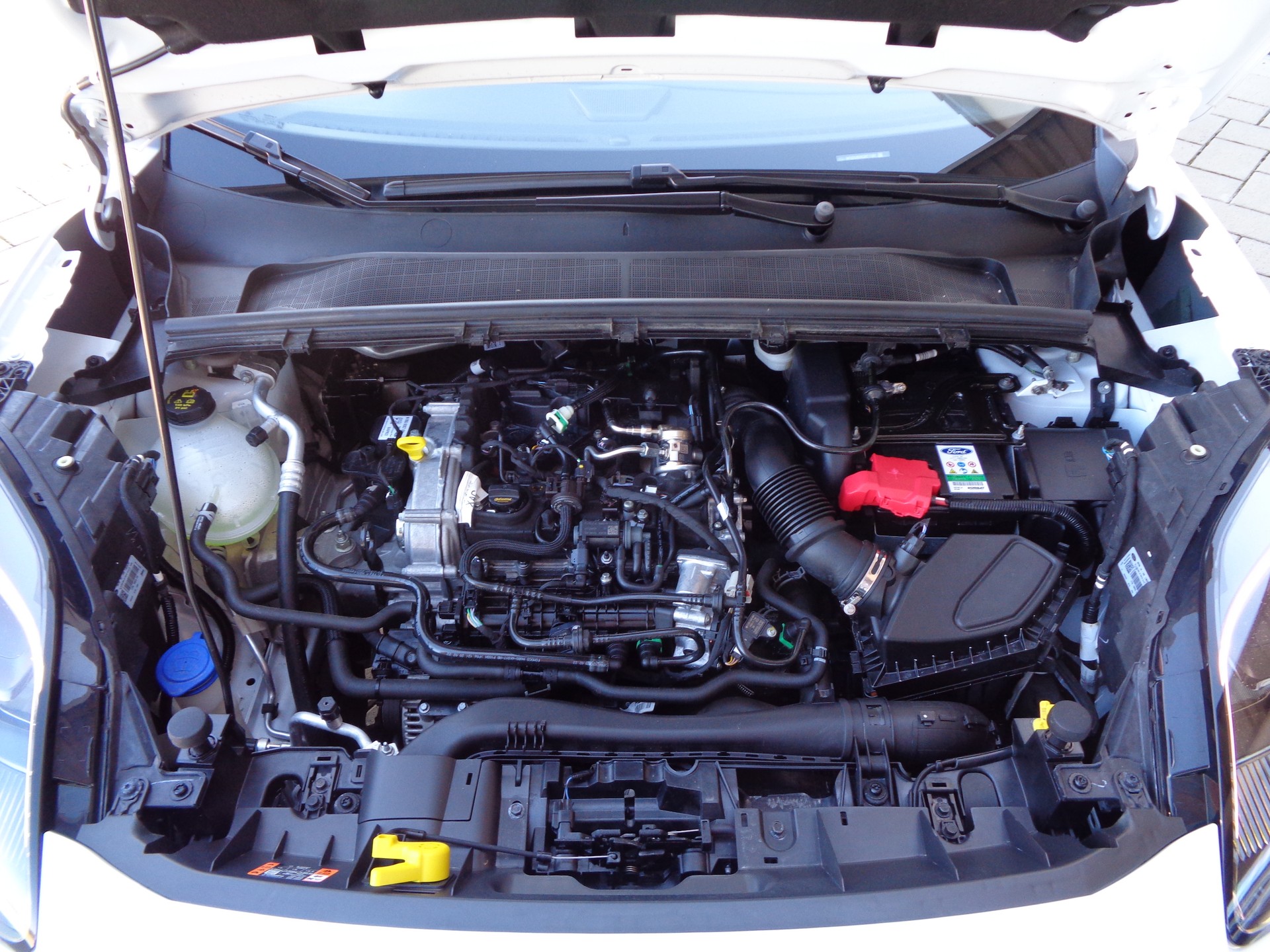 FORD Puma 1.0 MHEV ST-Line X Automat - 15