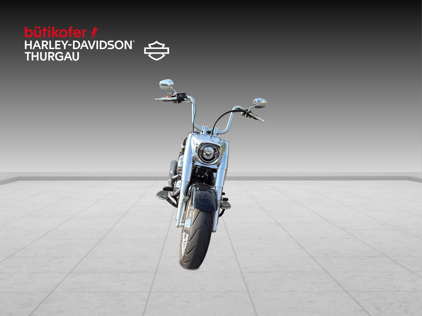 HARLEY-DAVIDSON FLFB Fat Boy 107 ABS - 7