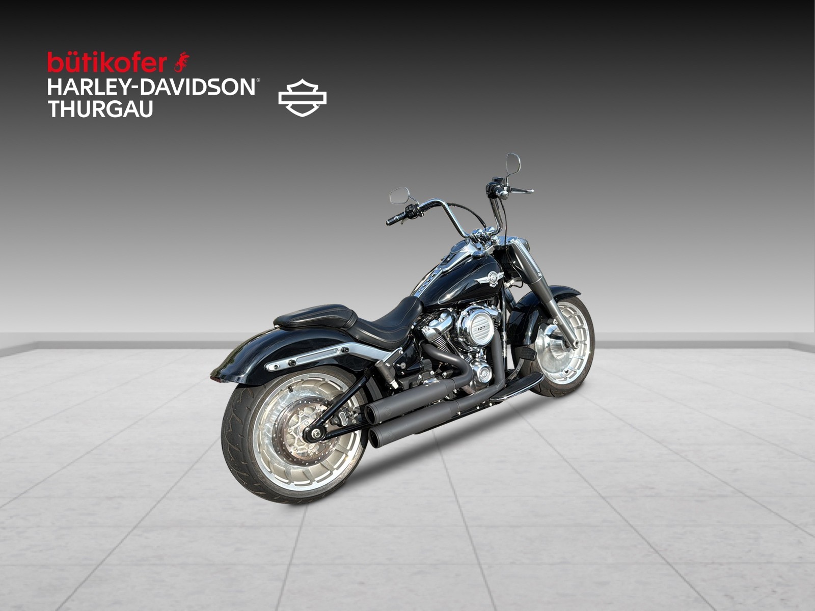 HARLEY-DAVIDSON FLFB Fat Boy 107 ABS - 3