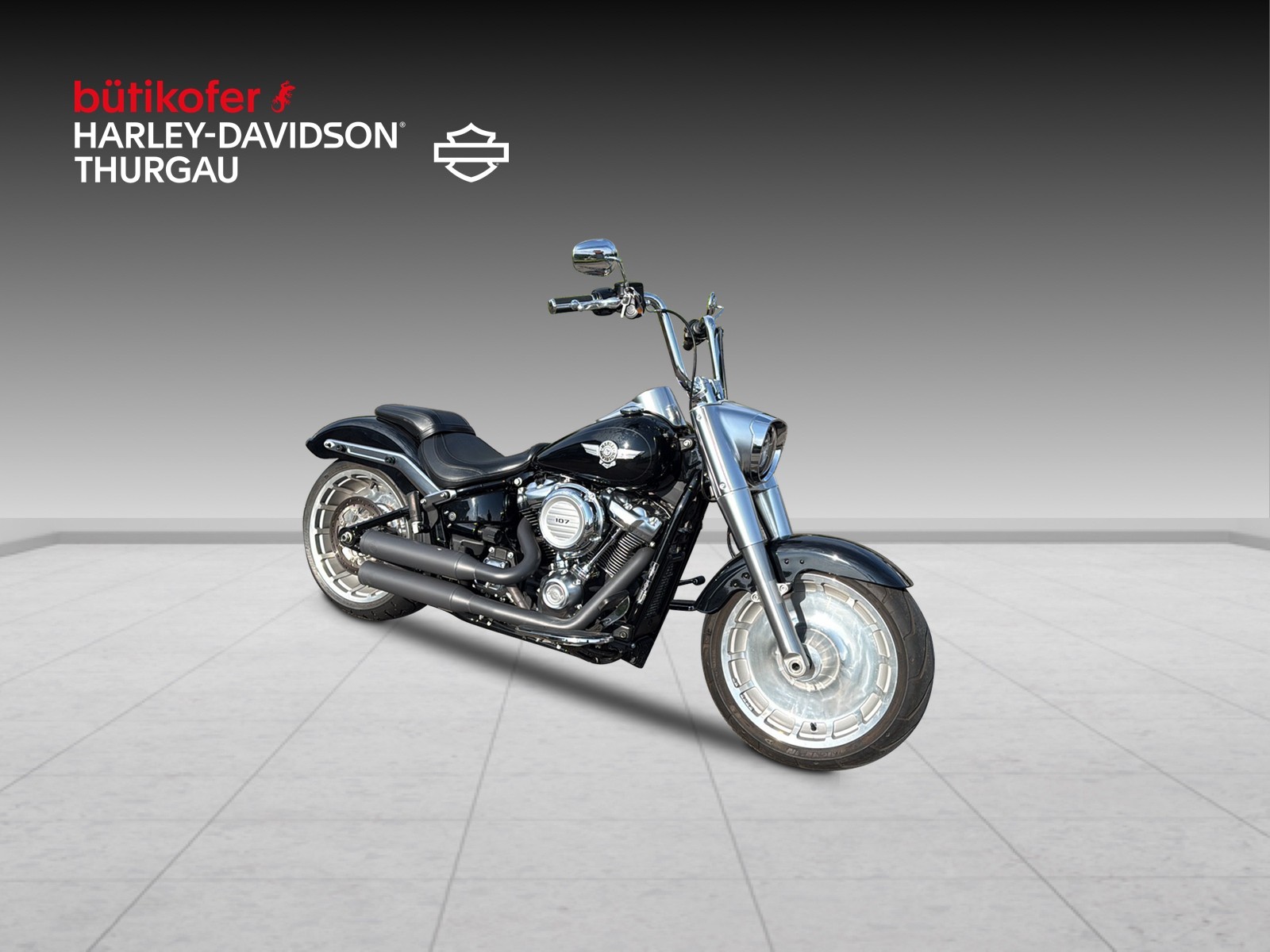 HARLEY-DAVIDSON FLFB Fat Boy 107 ABS