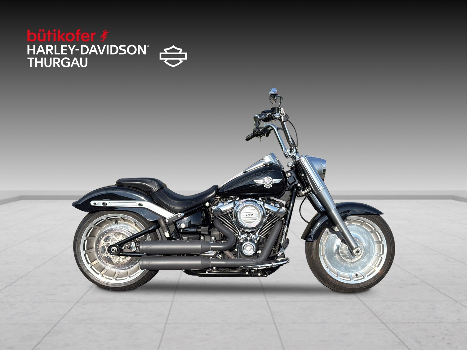 HARLEY-DAVIDSON FLFB Fat Boy 107 ABS - 2