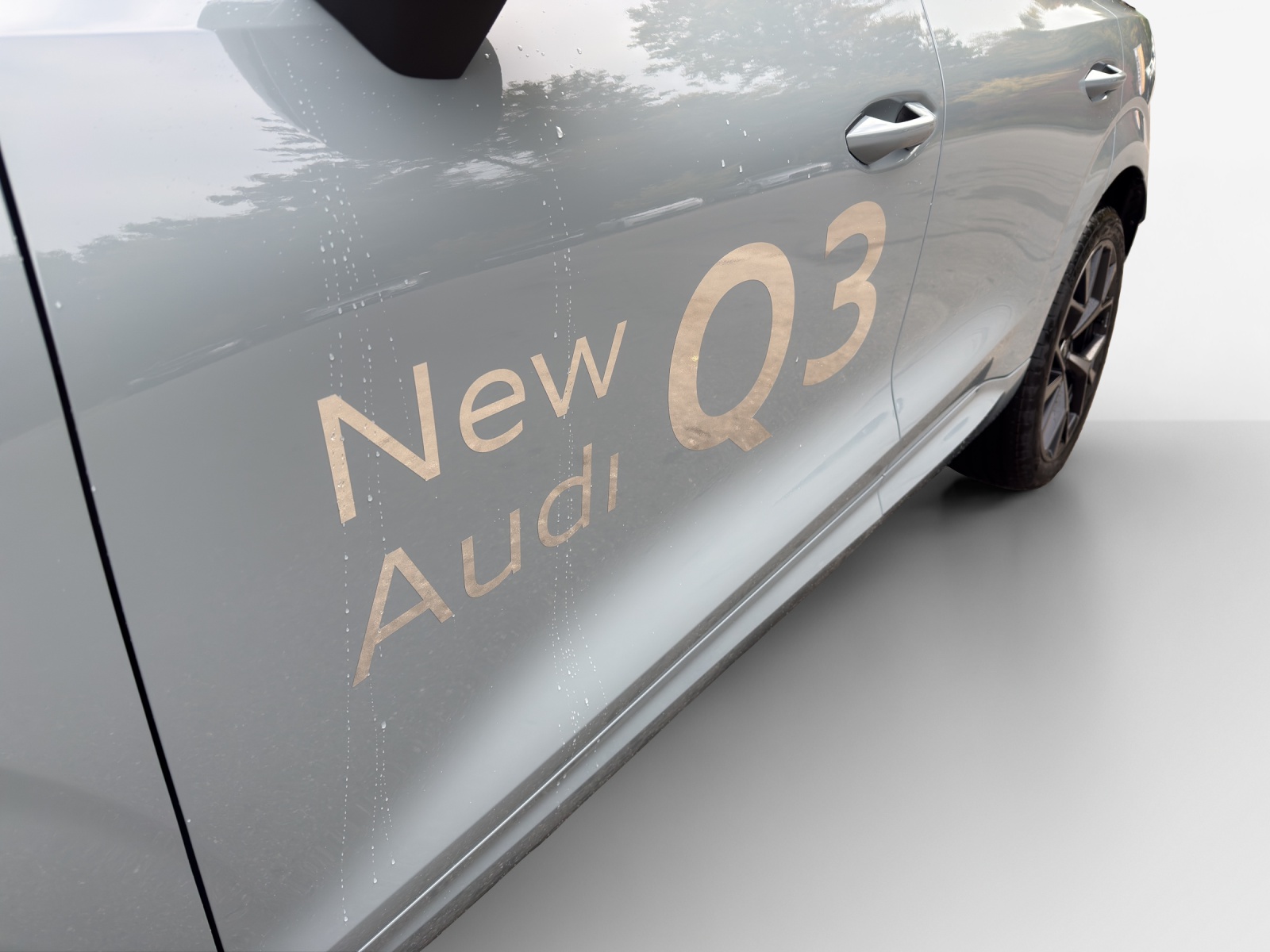 AUDI Q3 SUV TFSI quattro 195 kW S tronic - 15