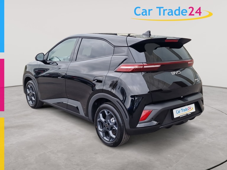 byd Gallery 4