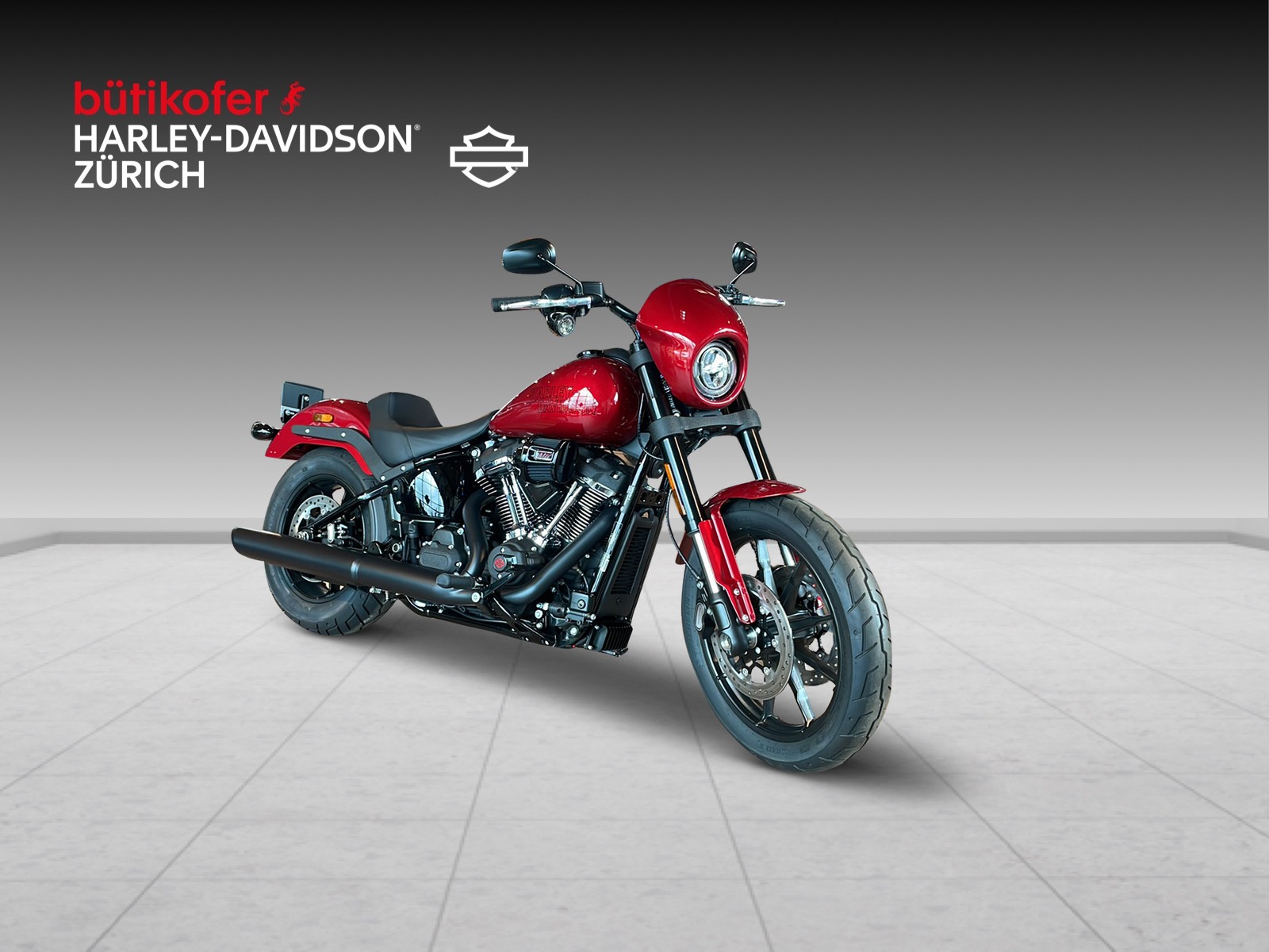 HARLEY-DAVIDSON FXLRS Low Rider S 117 - 2