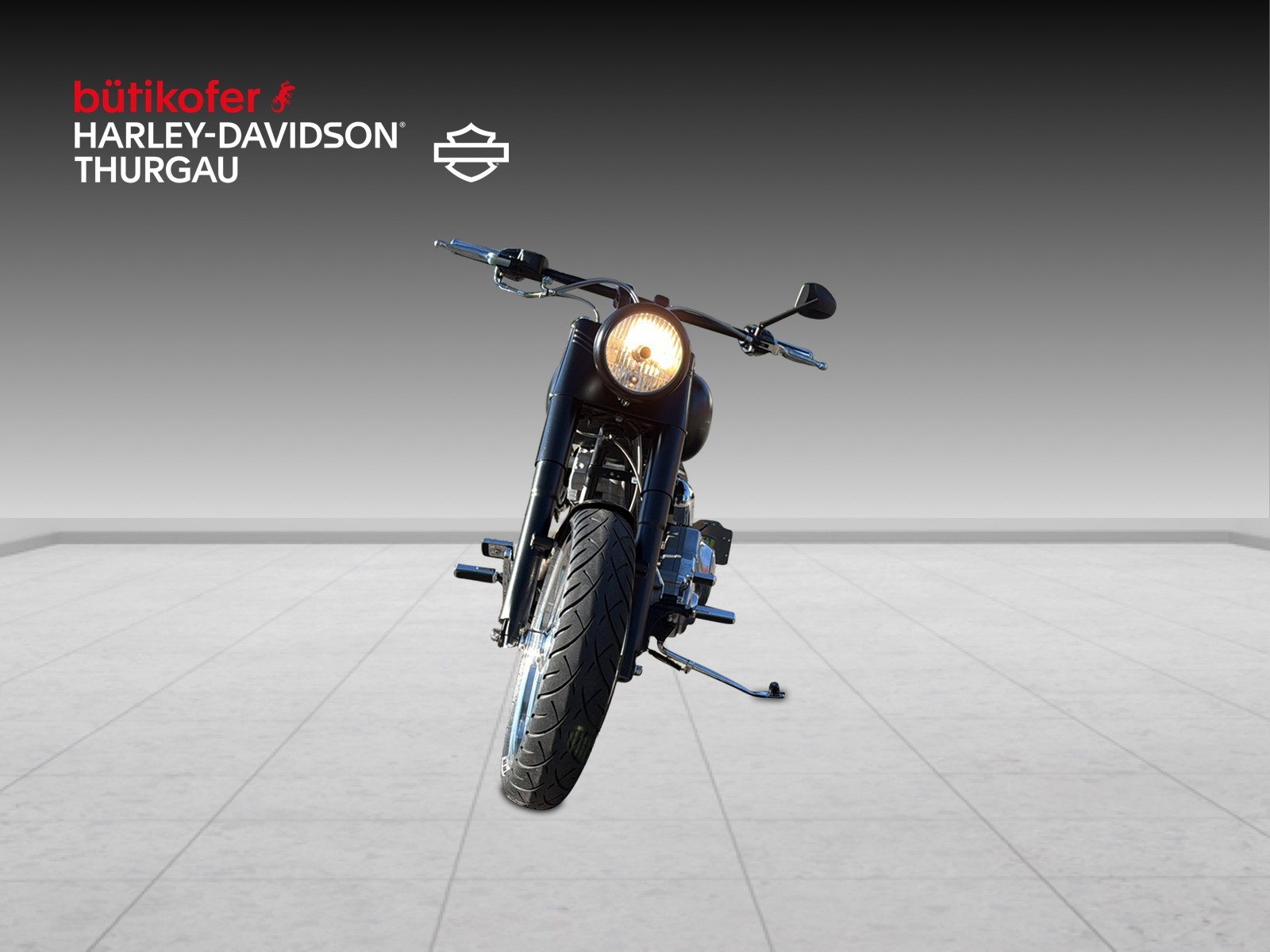 HARLEY-DAVIDSON FLSTI Softail Heritage - 7
