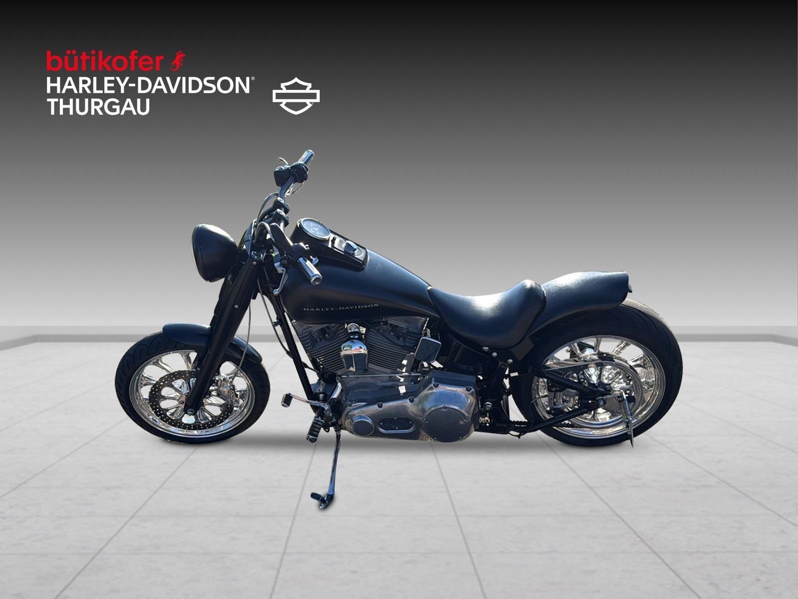 HARLEY-DAVIDSON FLSTI Softail Heritage - 8