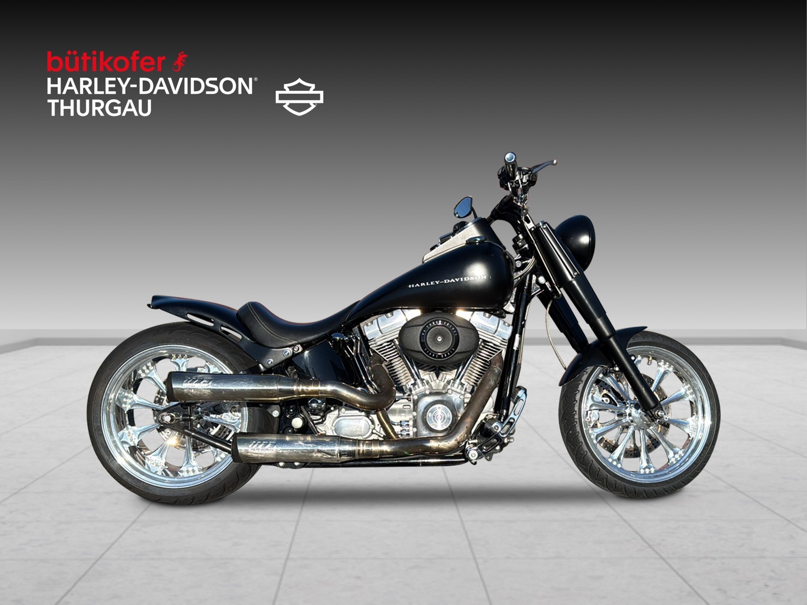 HARLEY-DAVIDSON FLSTI Softail Heritage - 2