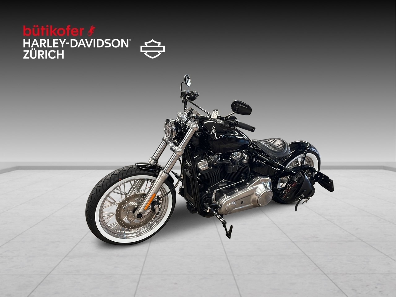 HARLEY-DAVIDSON FXST Softail Standard 107 - 3