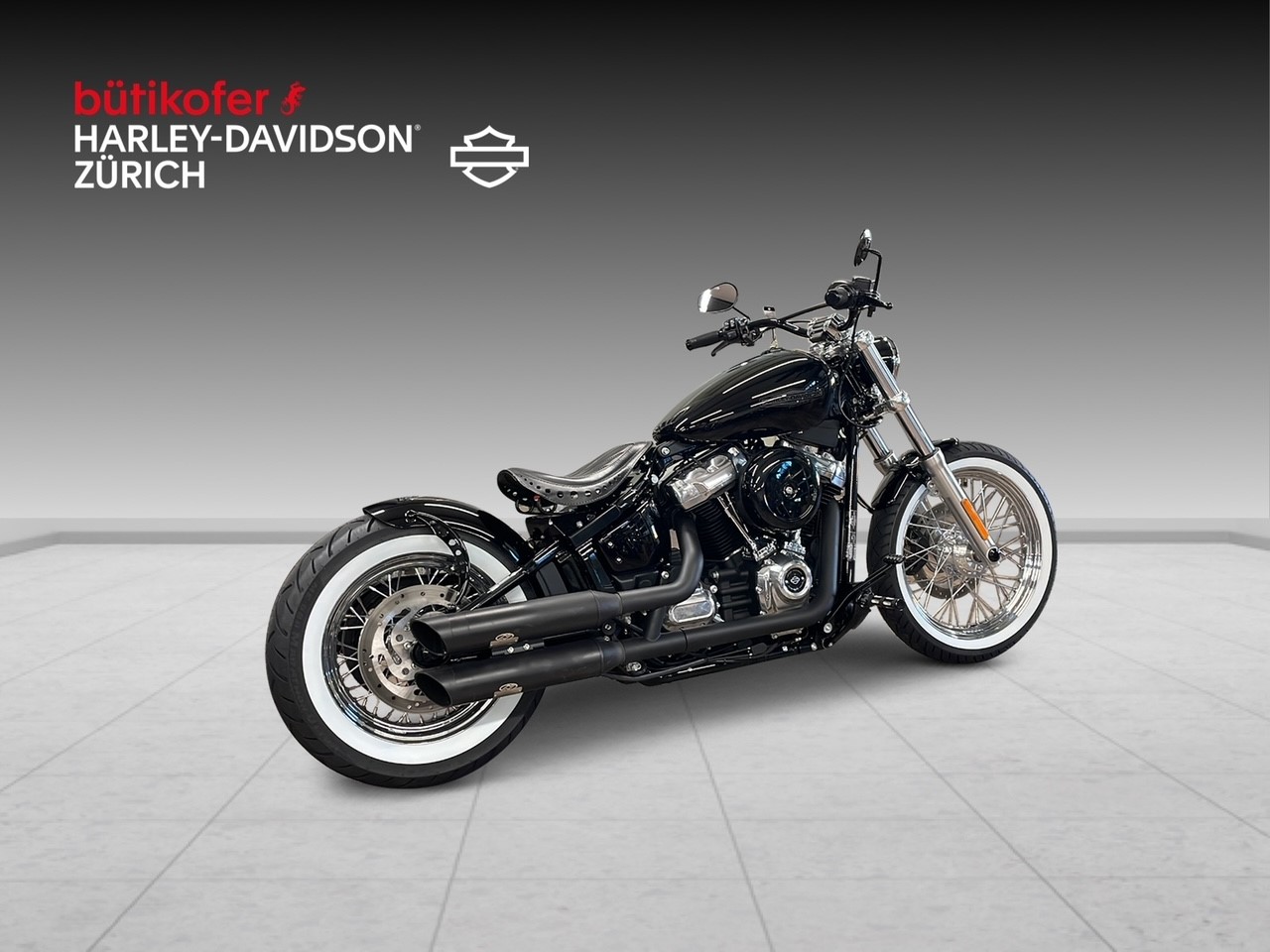 HARLEY-DAVIDSON FXST Softail Standard 107 - 6