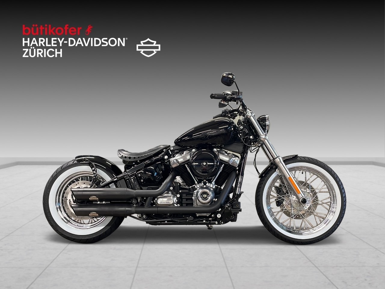 HARLEY-DAVIDSON FXST Softail Standard 107
