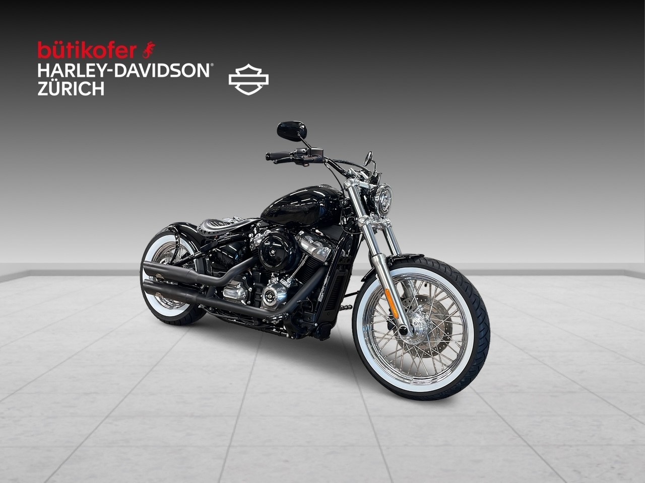 HARLEY-DAVIDSON FXST Softail Standard 107 - 2