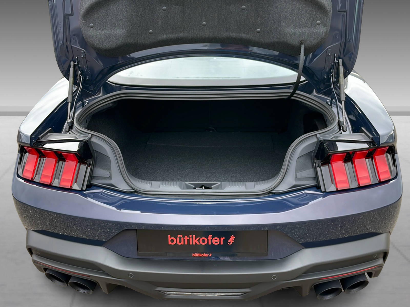 FORD Mustang Coupé 5.0 V8 Dark Horse - 9