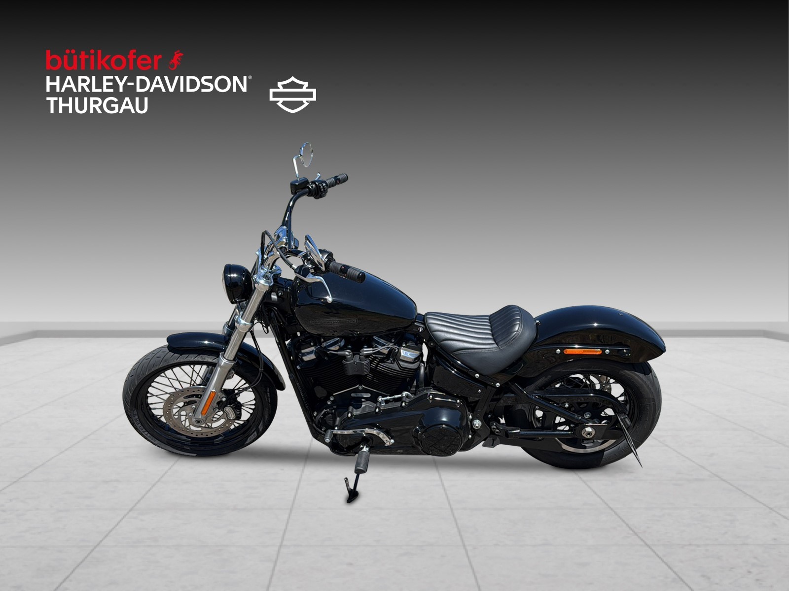 HARLEY-DAVIDSON FXST Softail Standard 107 - 8