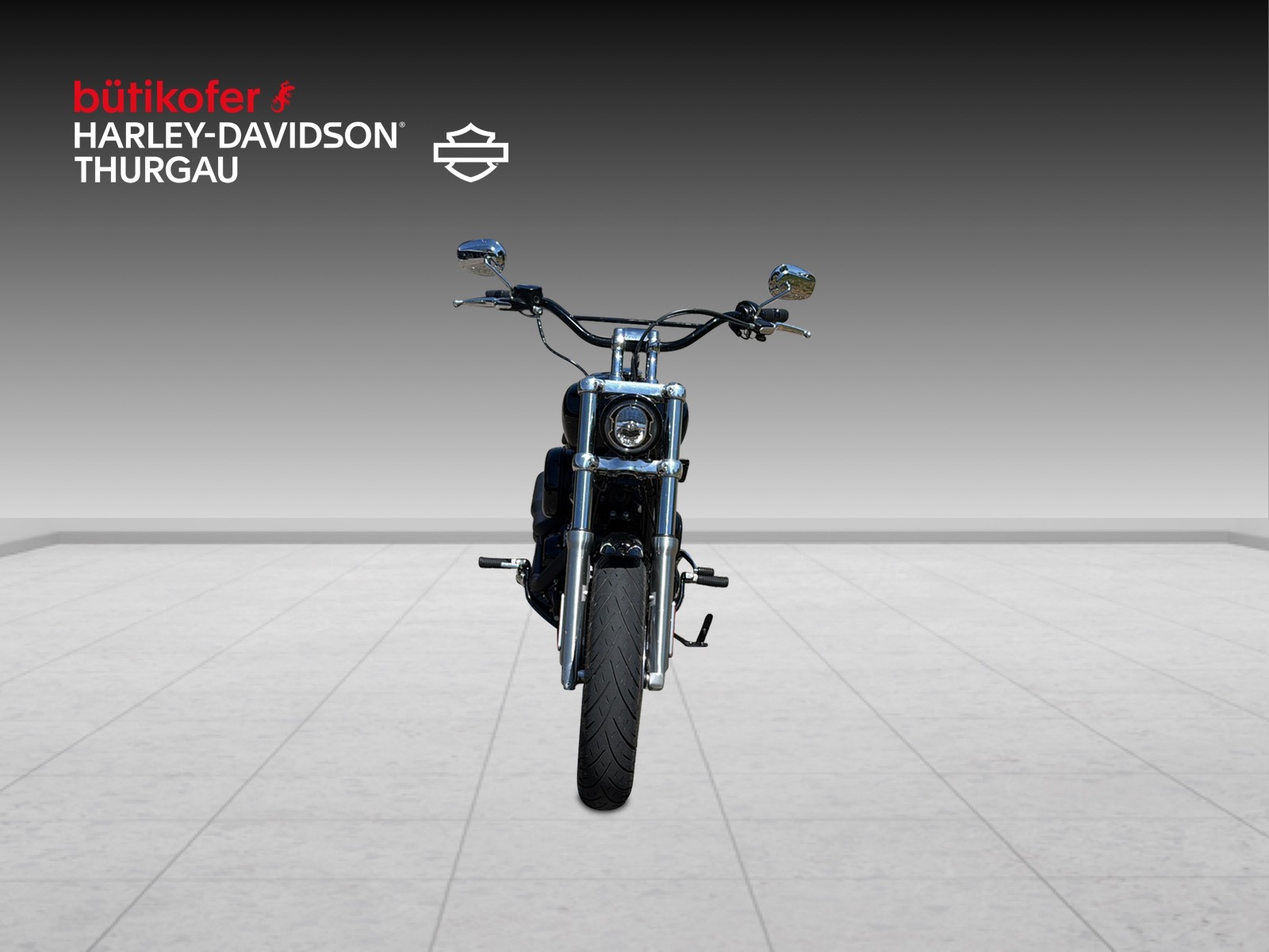 HARLEY-DAVIDSON FXST Softail Standard 107 - 7